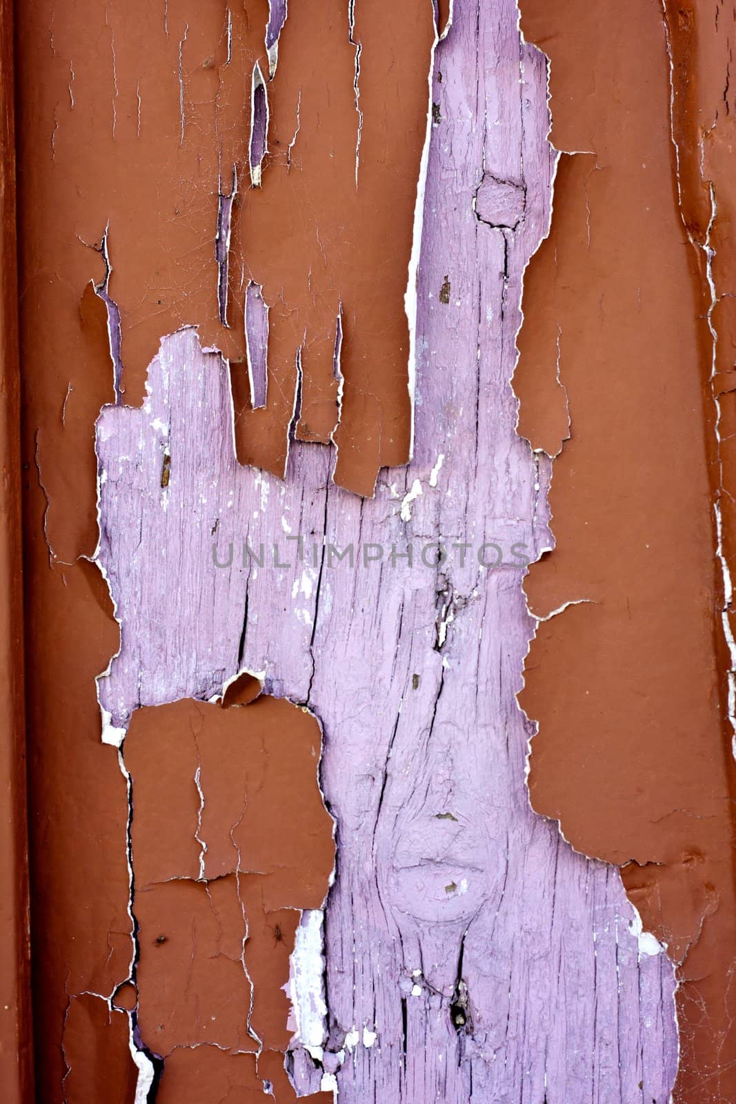 Close up view a wooden texture with peeled paint.