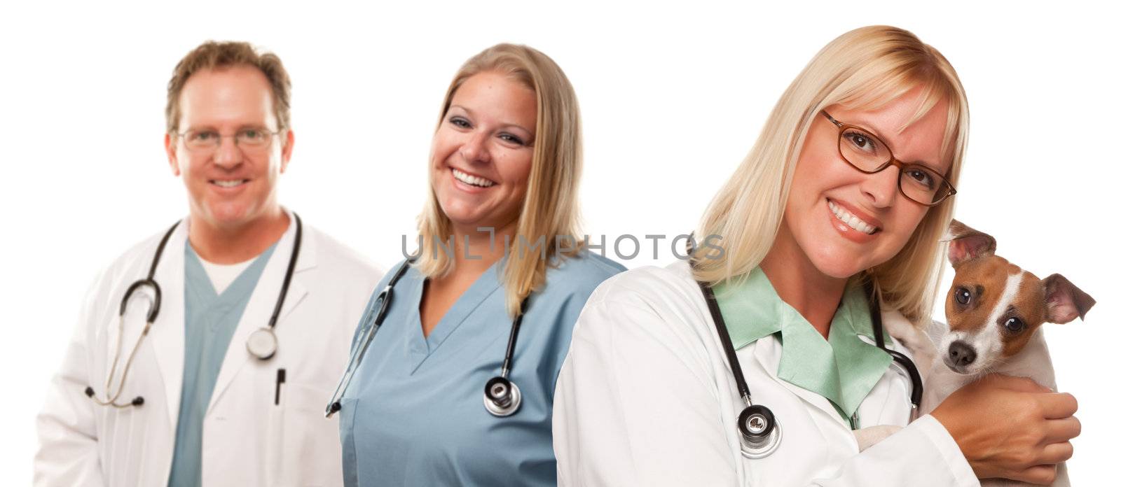 Female Veterinarian Doctors with Small Puppy by Feverpitched