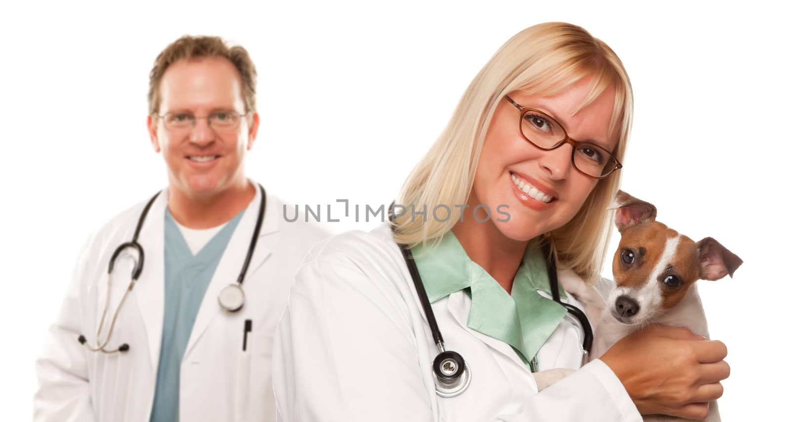 Attractive Female and Male Veterinarian Doctor with Small Puppy Isolated on a White Background.