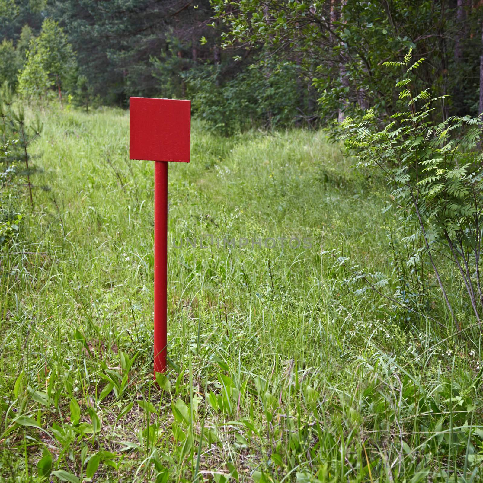 Red metal plate near the pine forest
