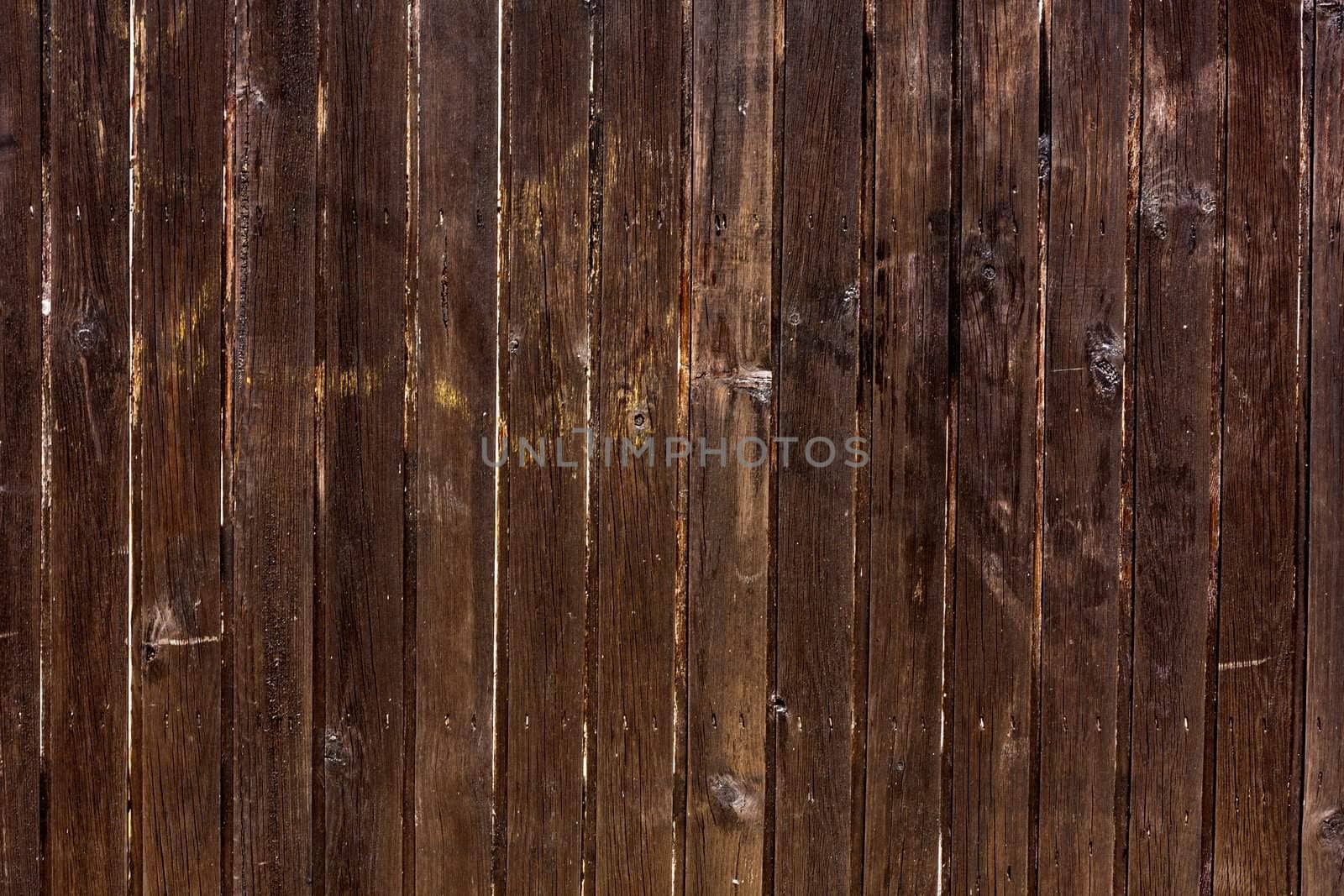 Close up view of a wooden wall texture.
