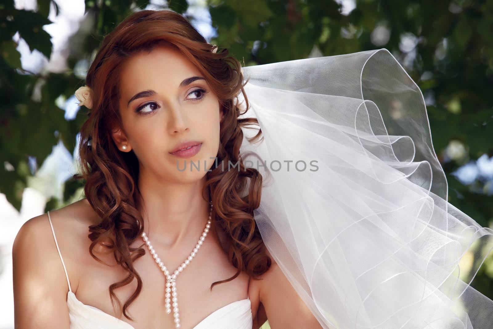 The beautiful bride on a green background