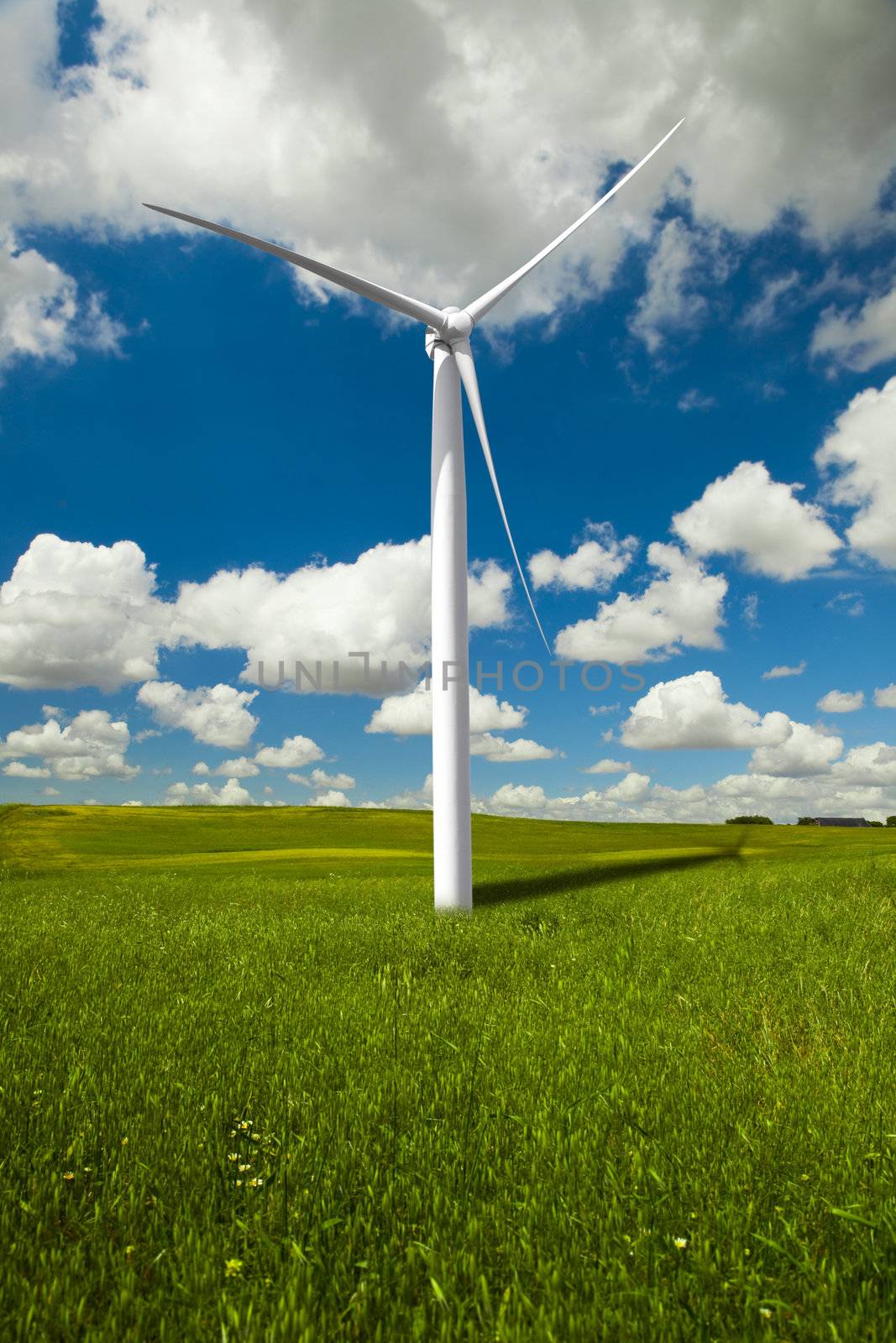 Clean energy being generated by a windmills park