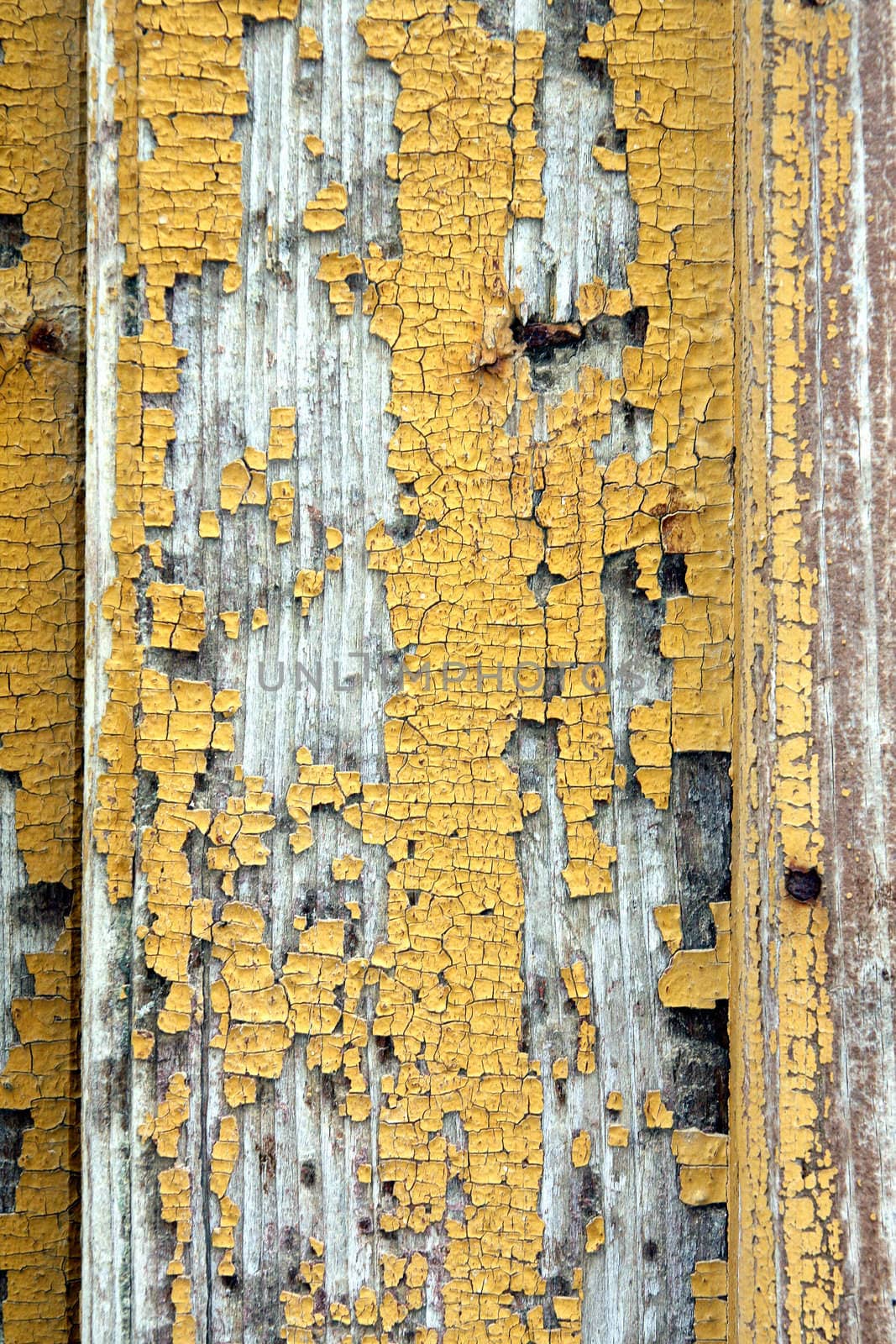 Close view of the texture of and old door, with the paint chipped and peeled.