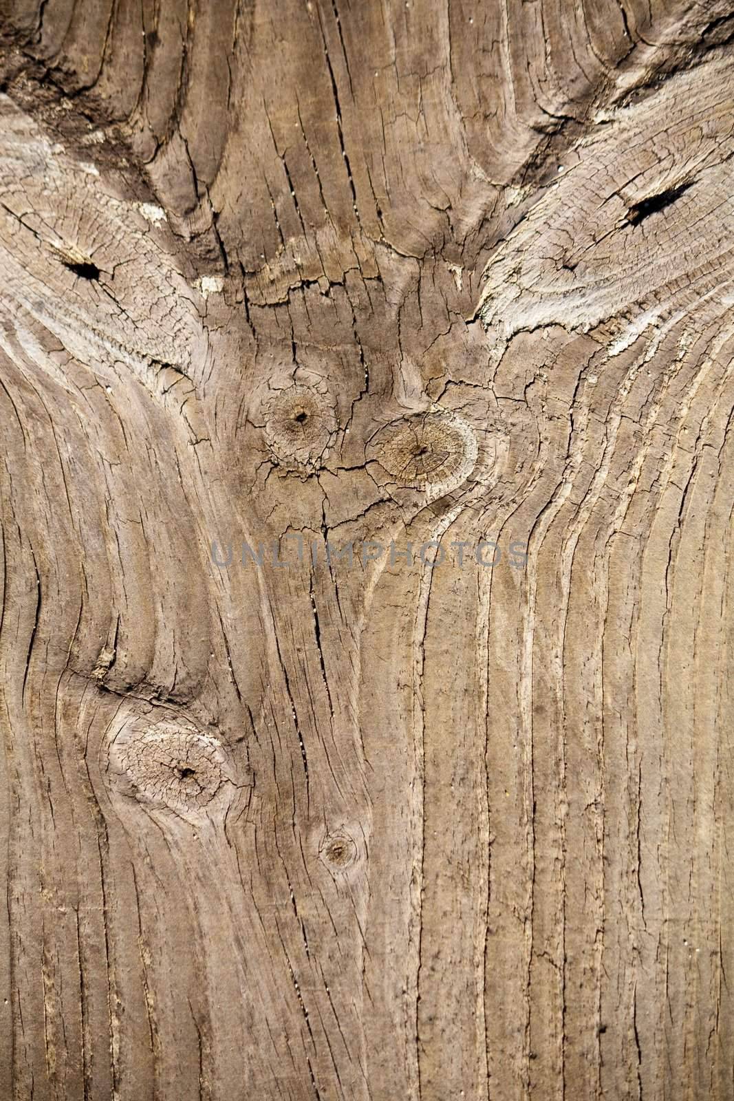 Close up view of some old texture of a wooden board.