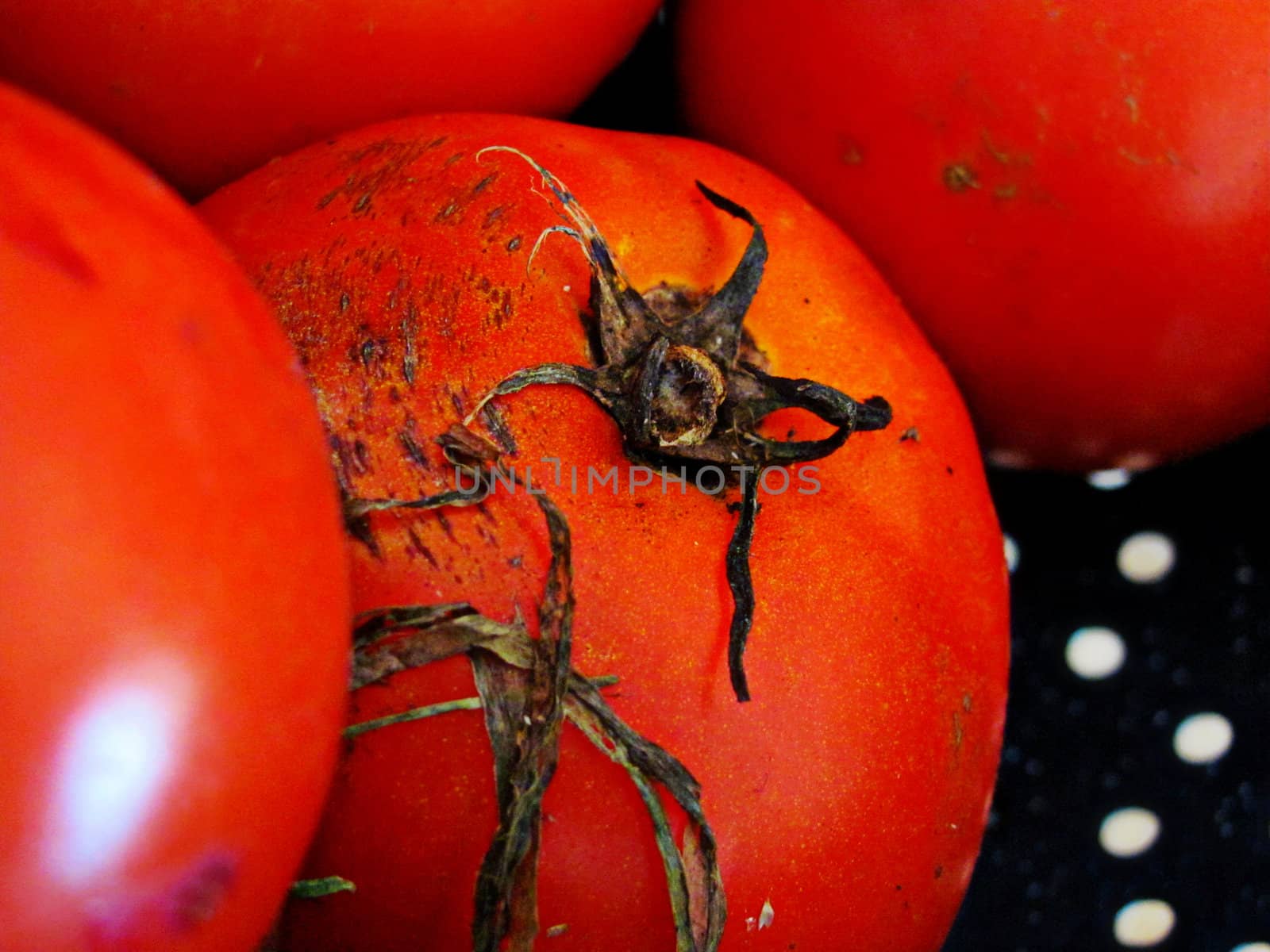Dirty Tomato by cccaity63