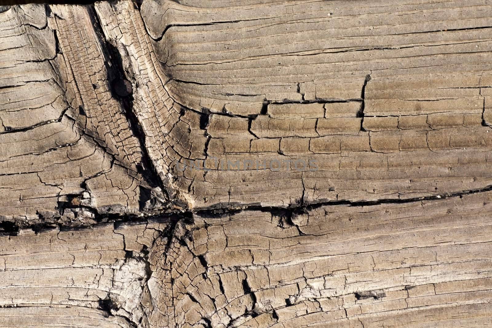 Close up view of some old texture of a wooden board.