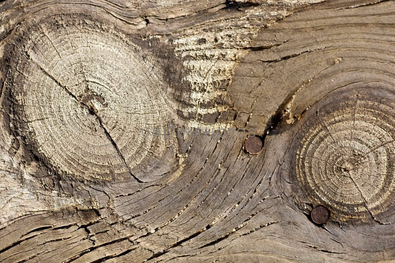 Close up view of some old texture of a wooden board.