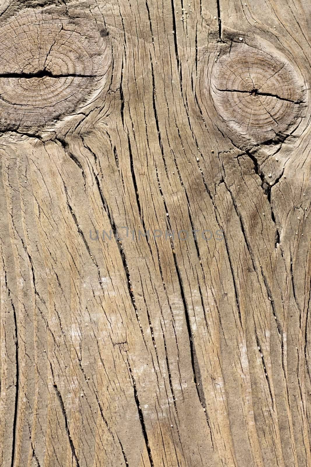 Close up view of some old texture of a wooden board.