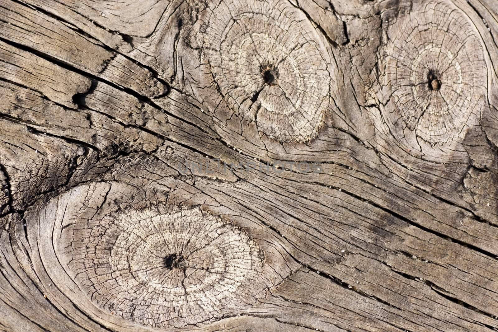 Close up view of some old texture of a wooden board.