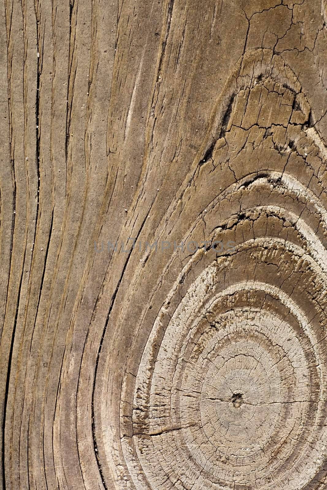 Close up view of some old texture of a wooden board.