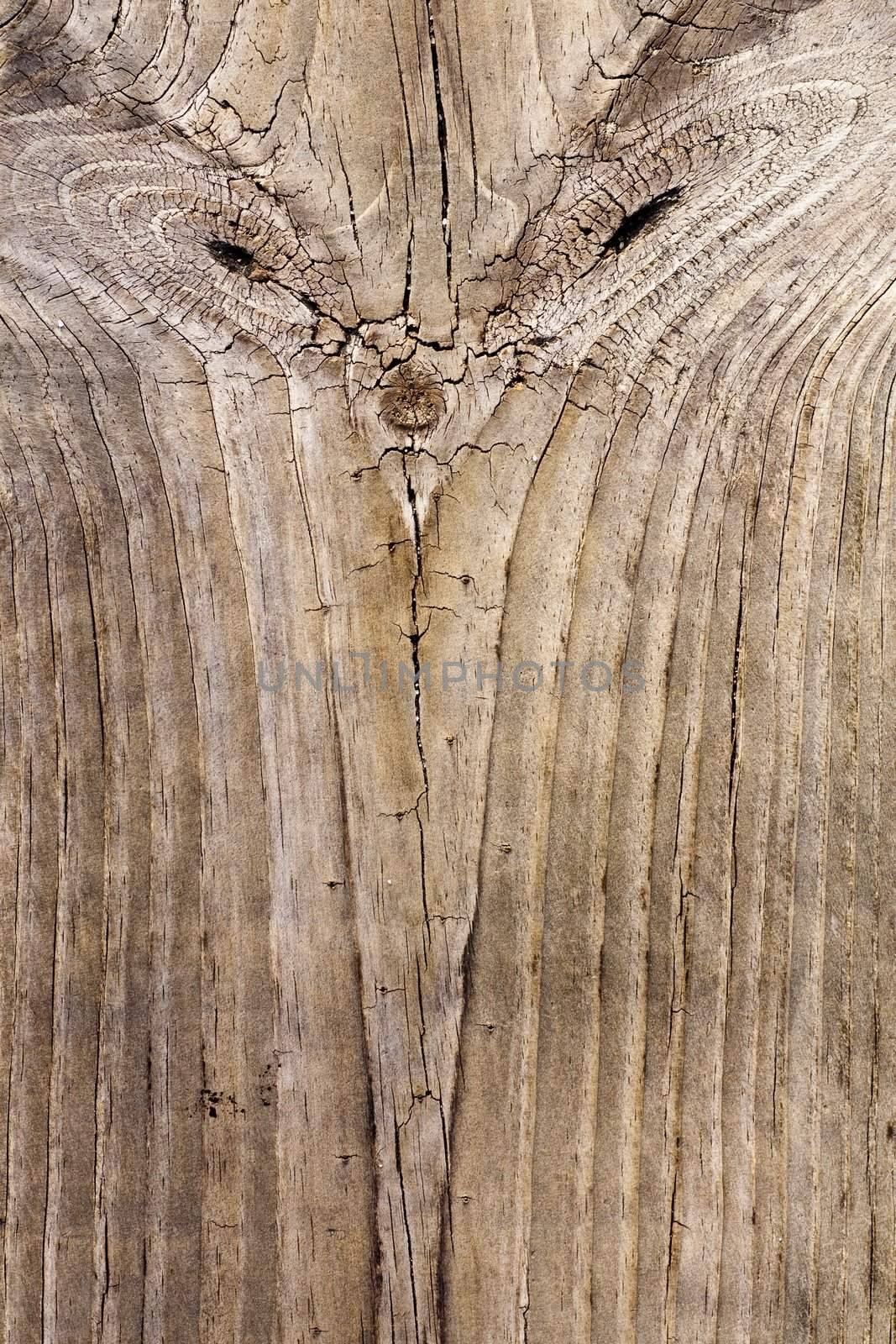 Close up view of some old texture of a wooden board.