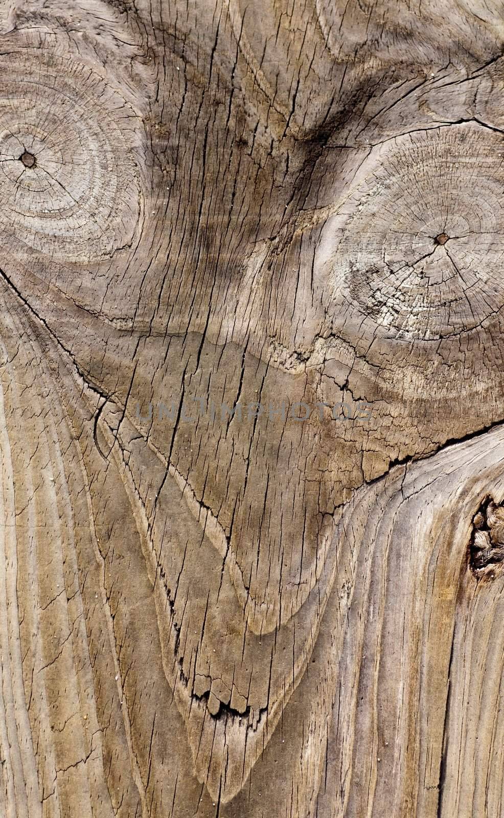 Close up view of some old texture of a wooden board.