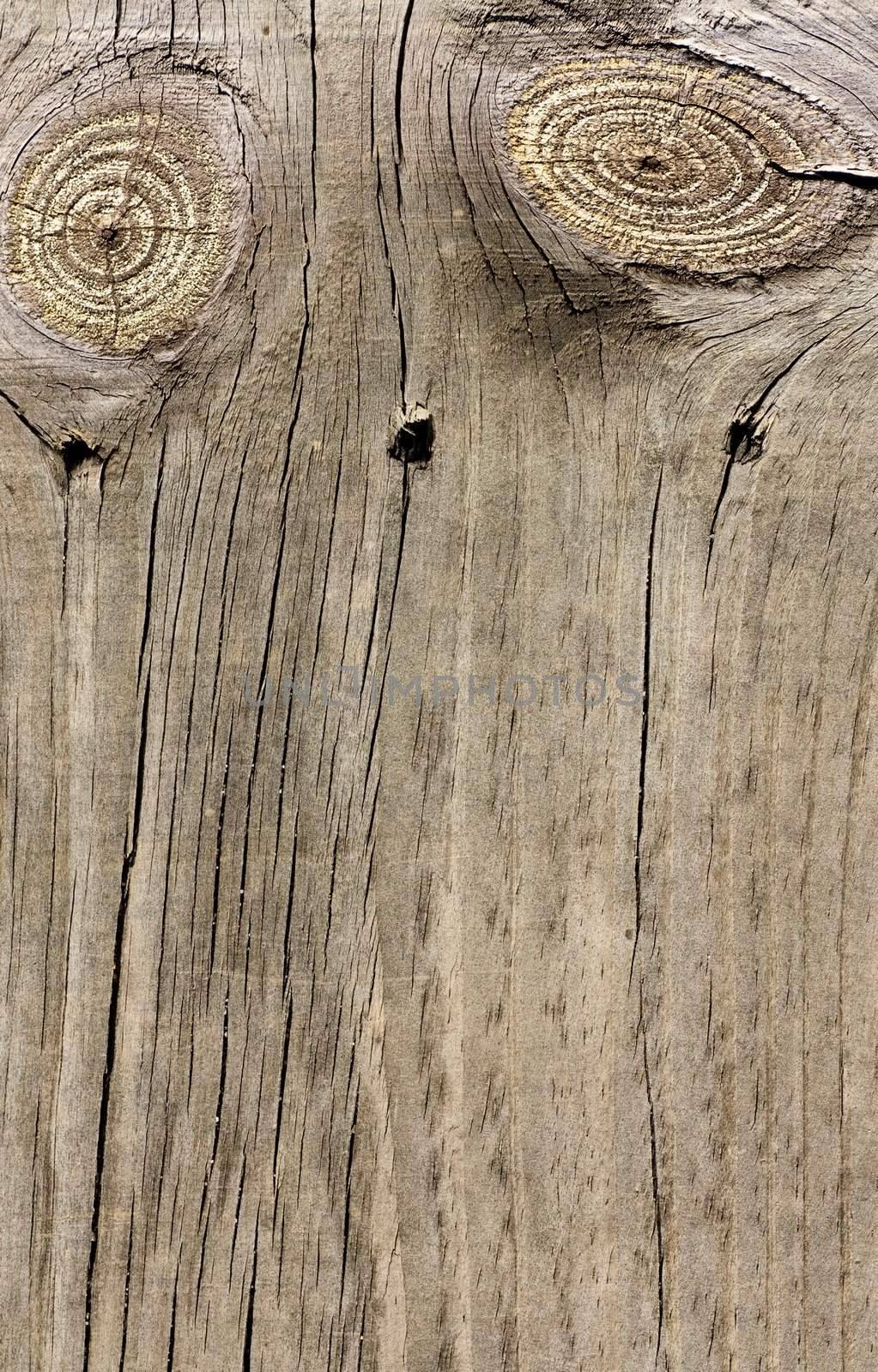 Close up view of some old texture of a wooden board.