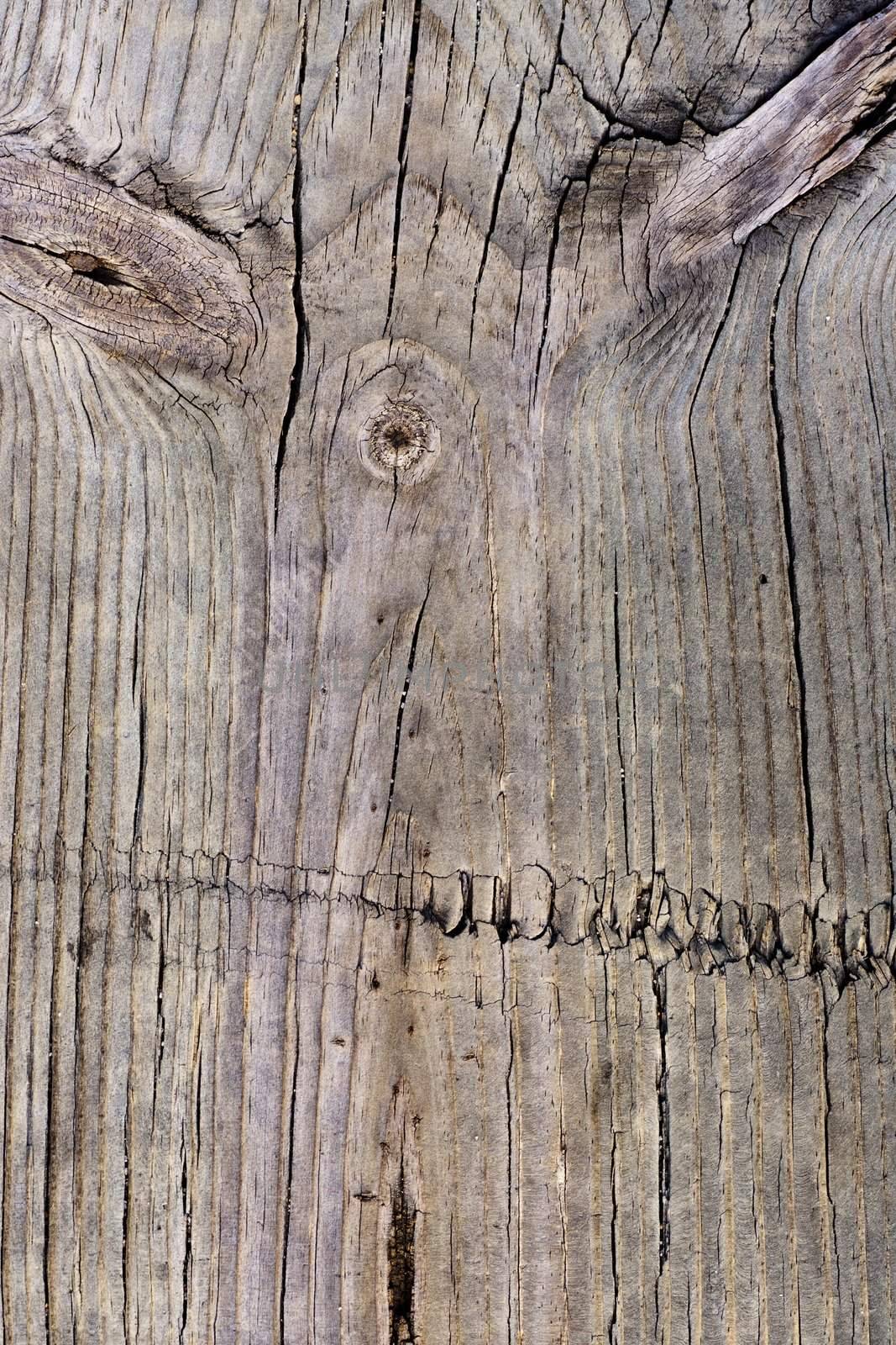 Close up view of some old texture of a wooden board.