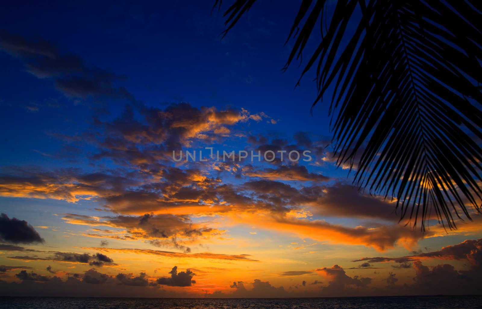 Maldivian Sunset image with nice color