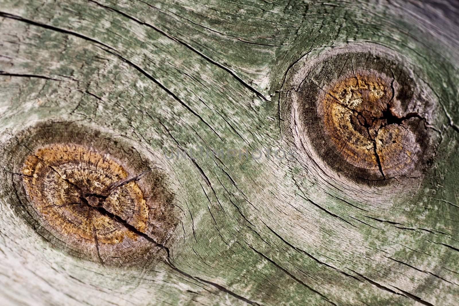 Close up view of some old texture of a wooden board.