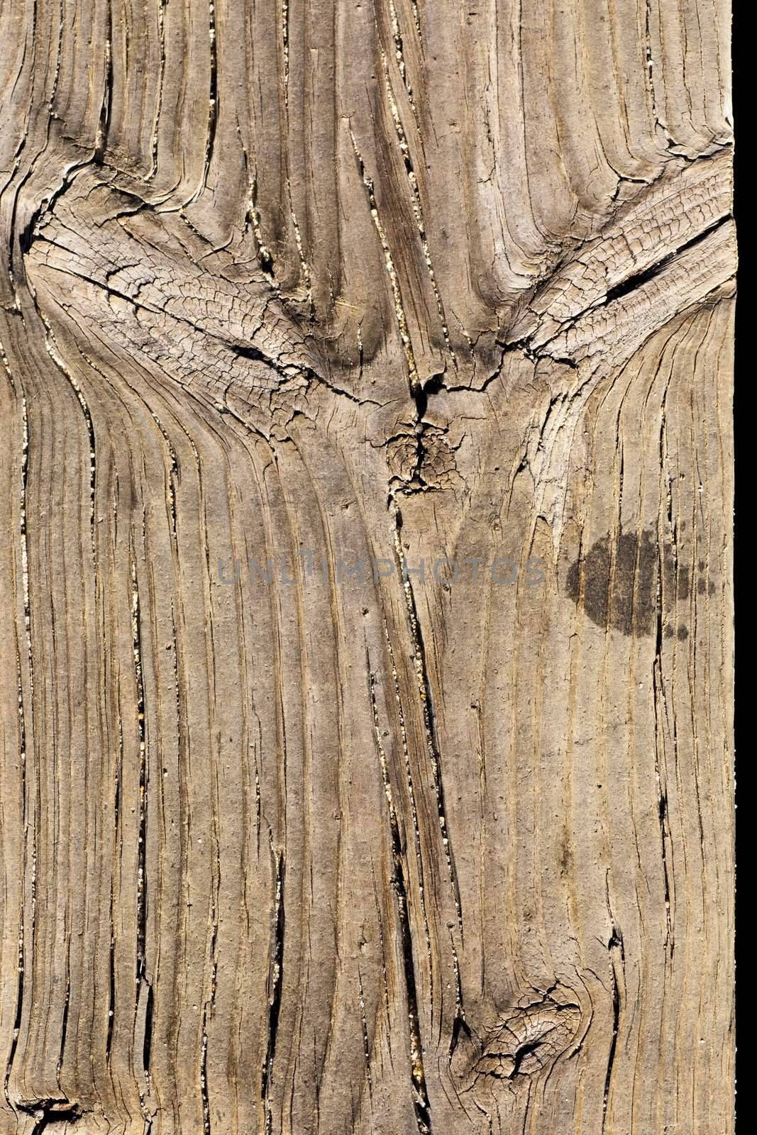 Close up view of some old texture of a wooden board.