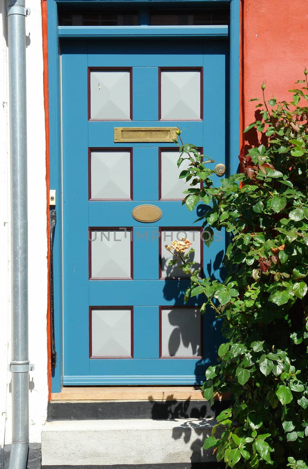 Bright colors traditional painted wooden door by Ronyzmbow