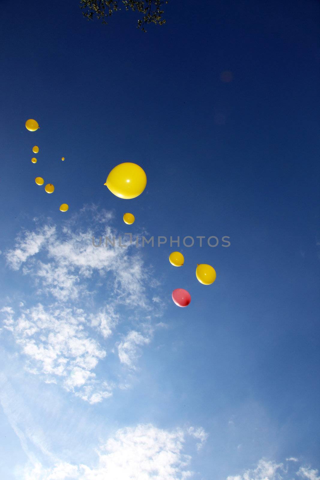 colorful balloons against a blue sky