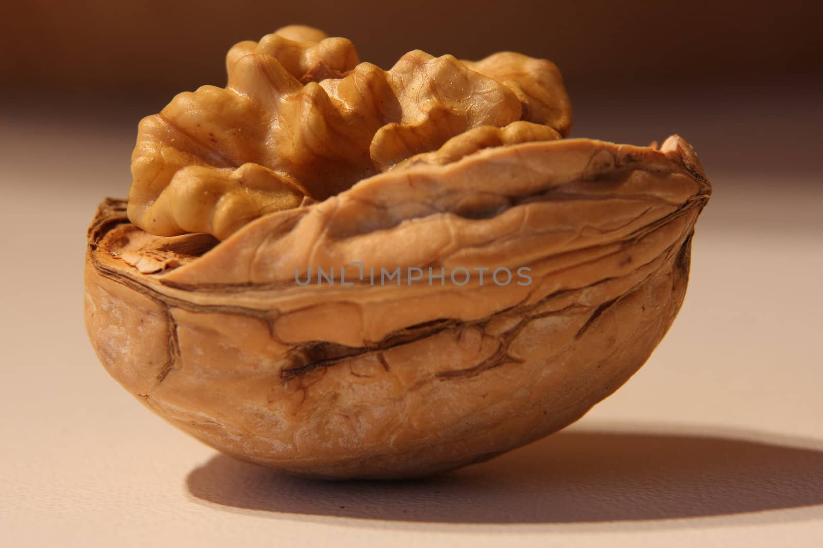 walnut