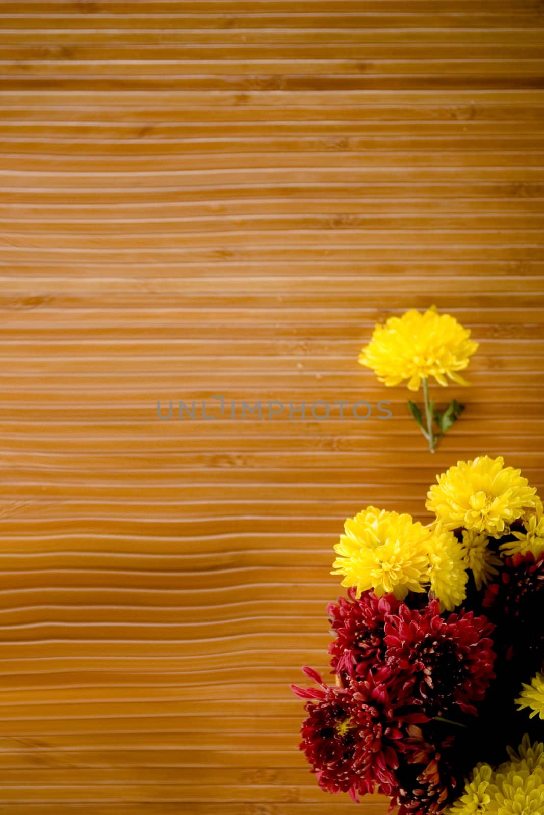 Sparsed yellow and magenta flowerd on wooden background