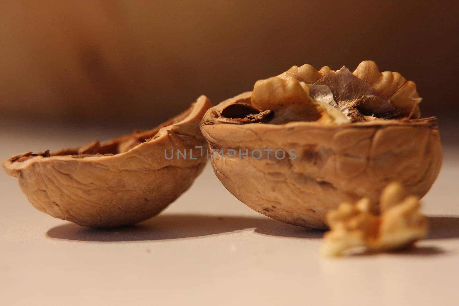 walnut by orobikfilm