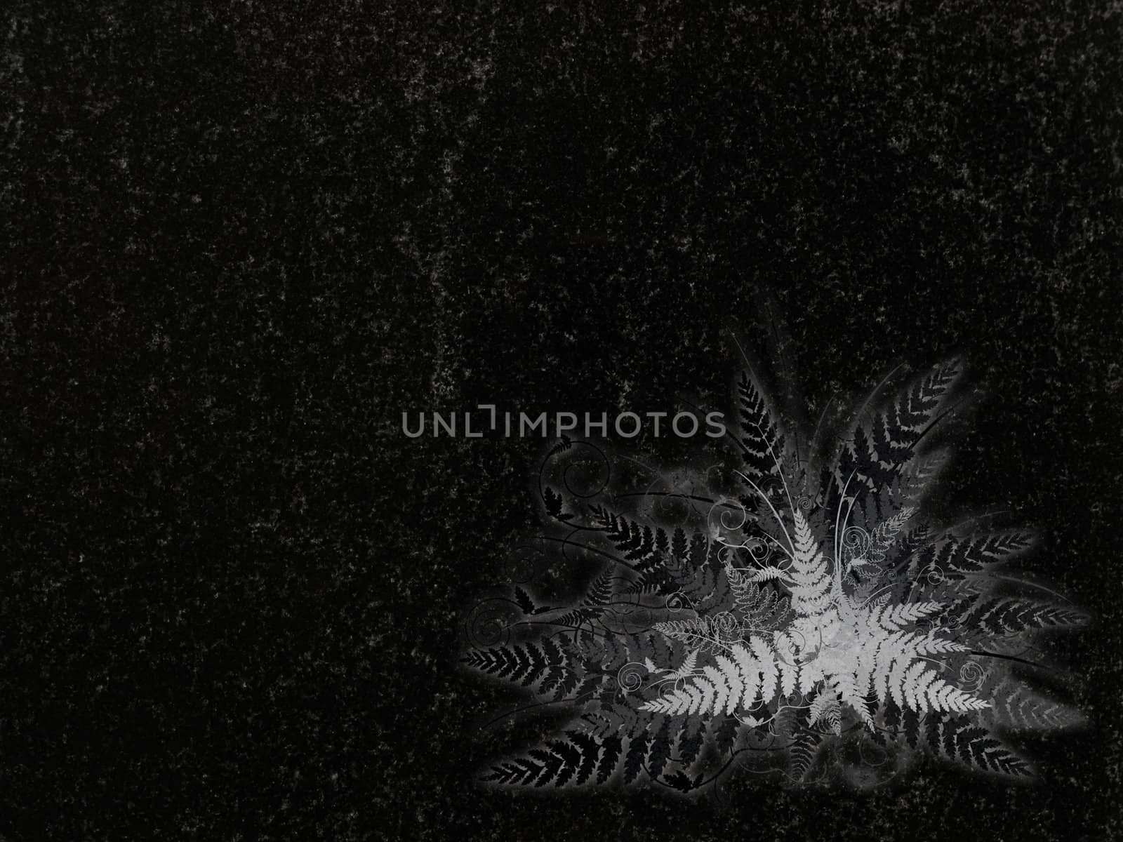 fern decoration at black granite gravestone, copyspace 