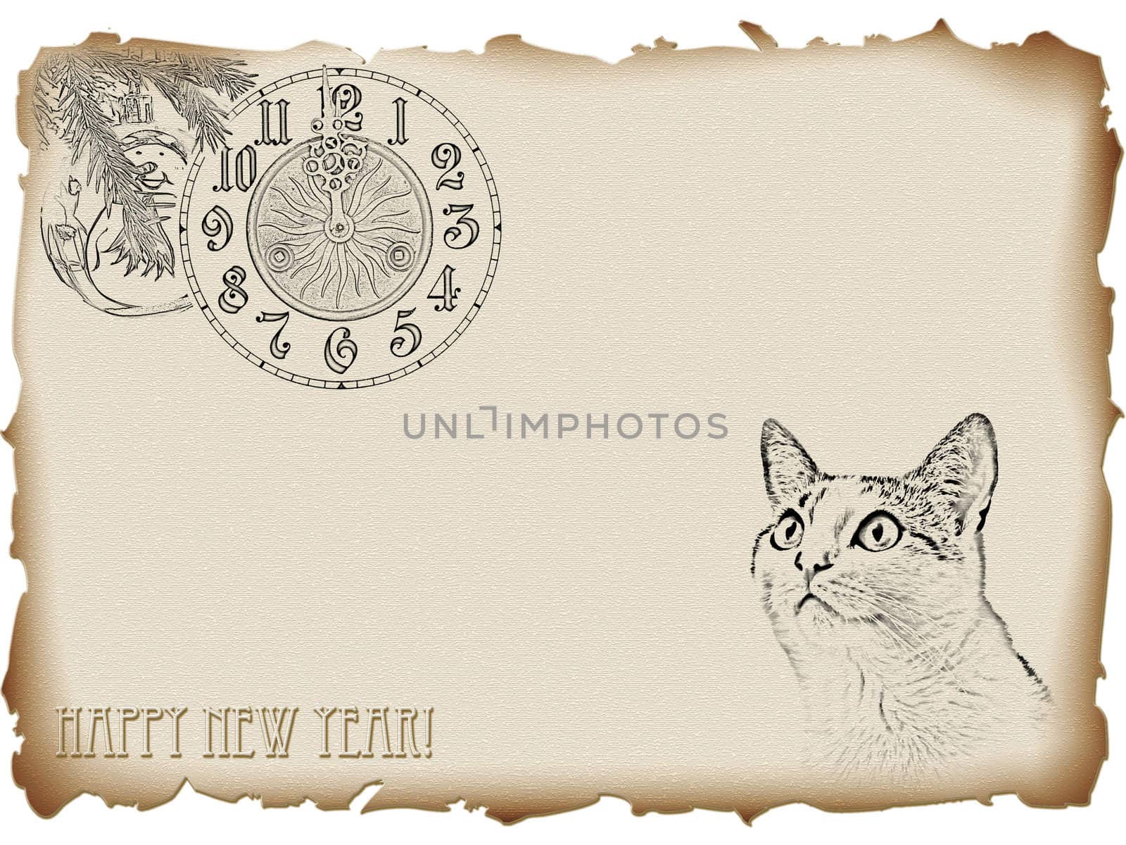 2011 New year of the cat theme in vintage style with copyspace for your text 