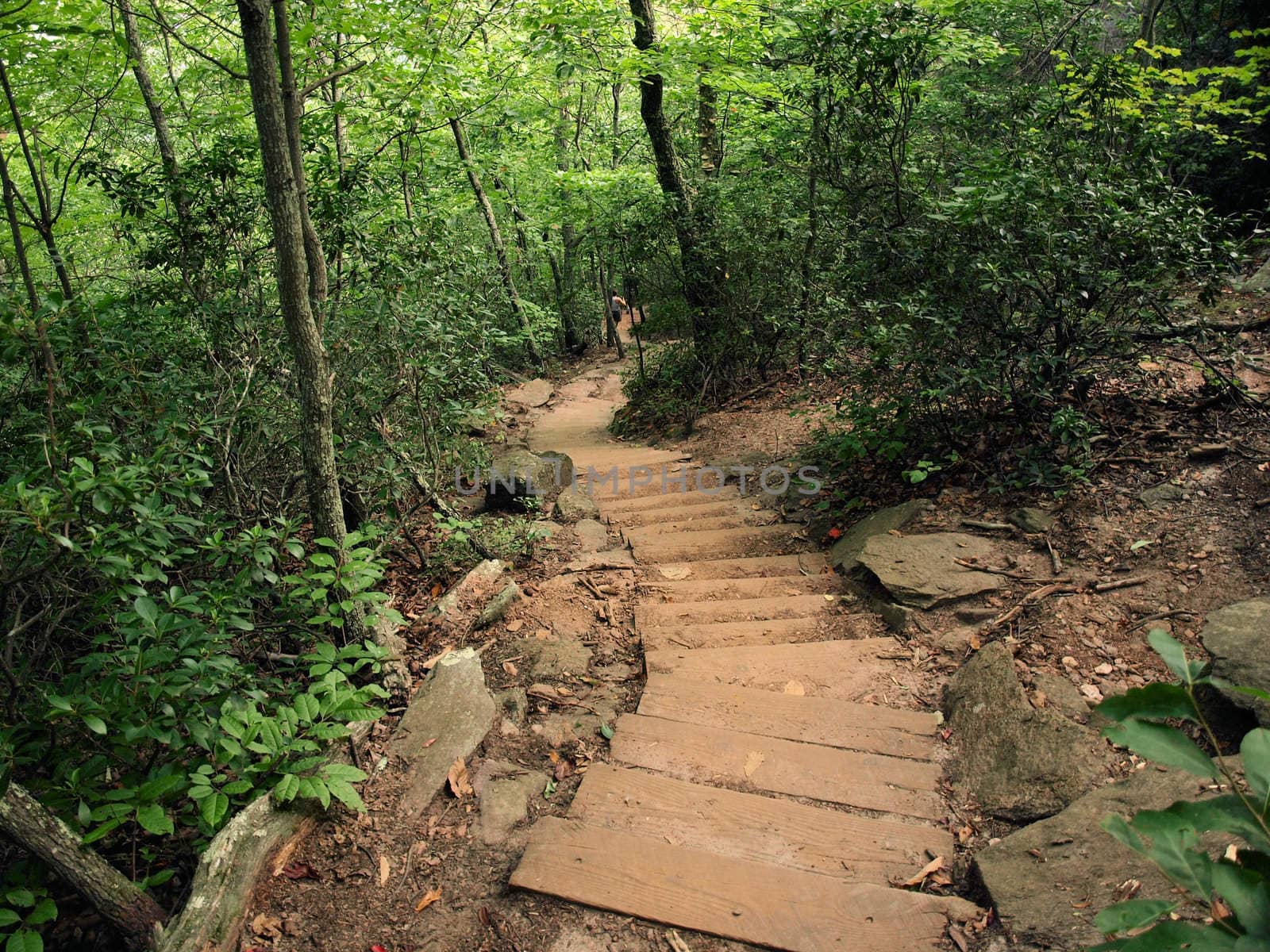 A steep trail along a mountain trail.