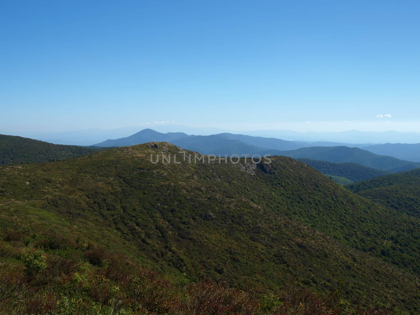 View along the Art Loeb Trail in the Shining Rock Area of the Pisgah Forest in North Carolina.