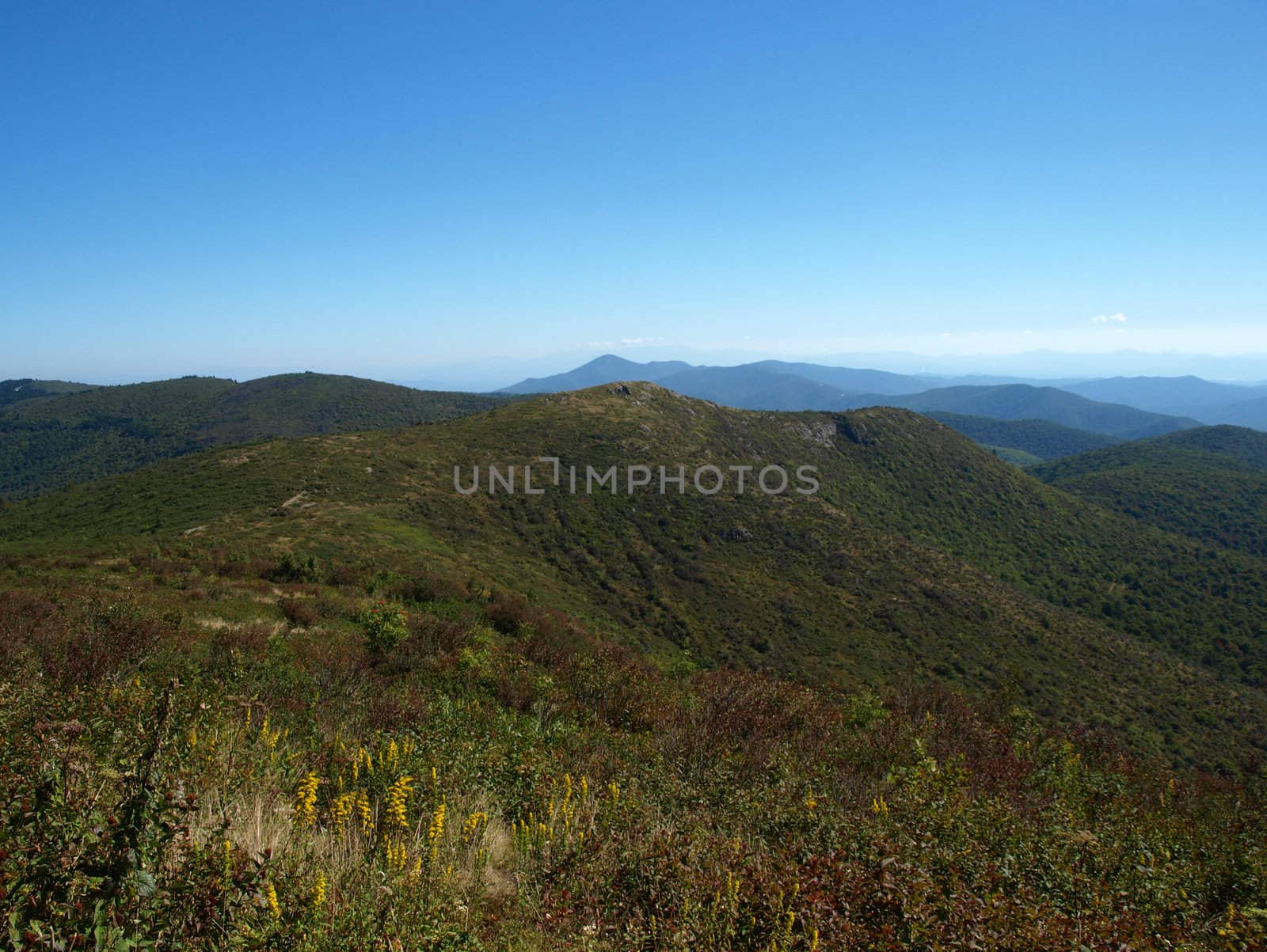 View along the Art Loeb Trail in the Shining Rock Area of the Pisgah Forest in North Carolina.