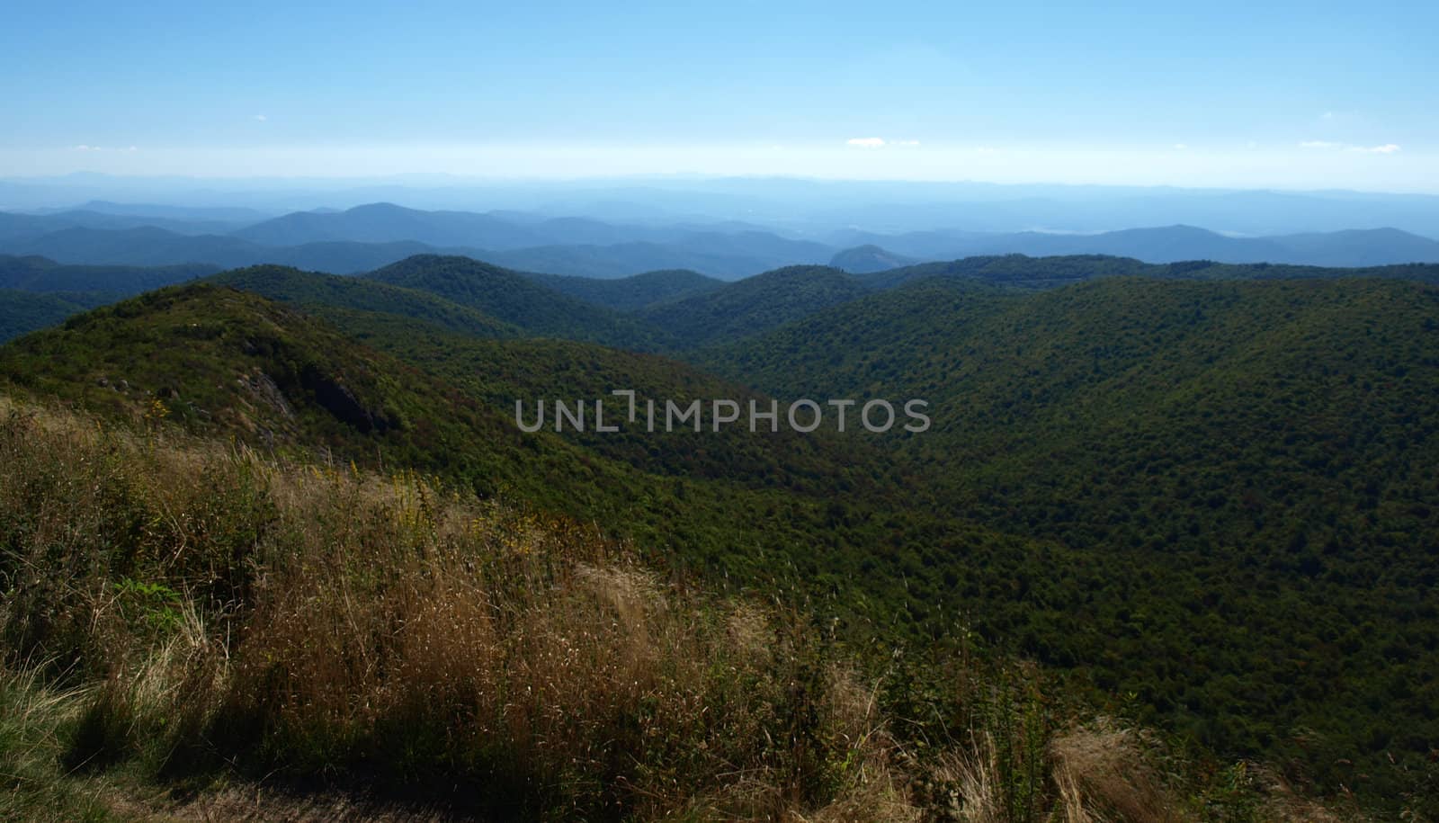 View along the Art Loeb Trail in the Shining Rock Area of the Pisgah Forest in North Carolina.