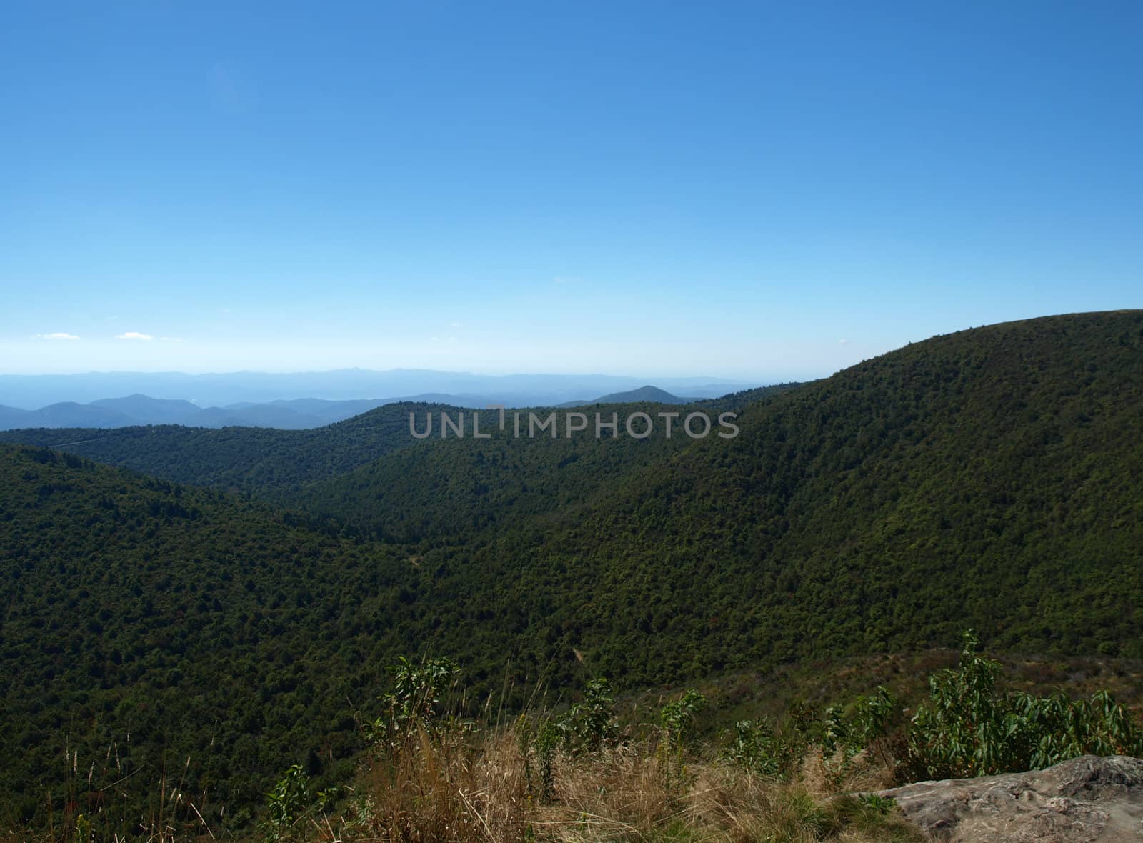 View along the Art Loeb Trail in the Shining Rock Area of the Pisgah Forest in North Carolina.