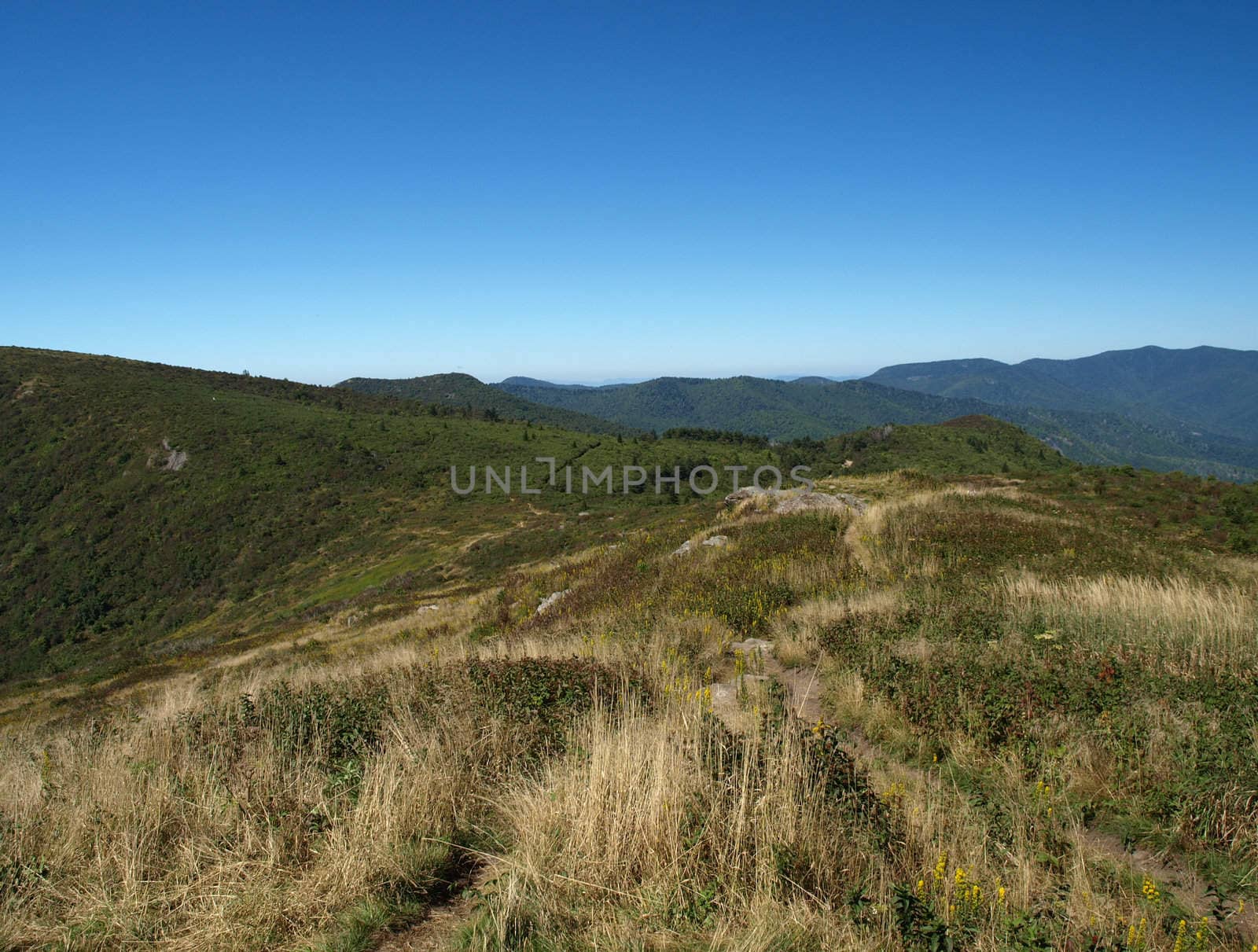 View along the Art Loeb Trail in the Shining Rock Area of the Pisgah Forest in North Carolina.