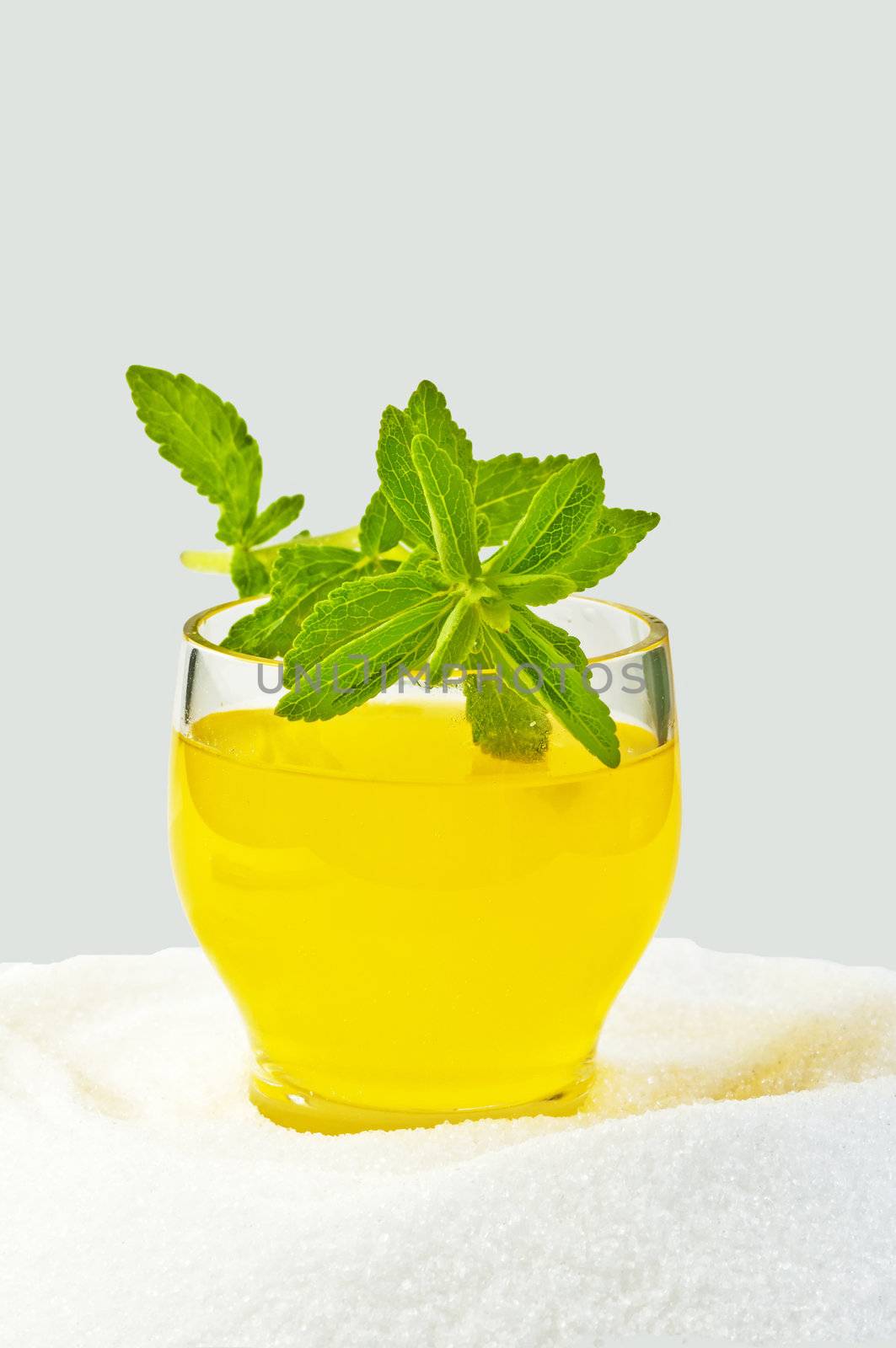 Stevia rebaudiana the herbal support for sugar