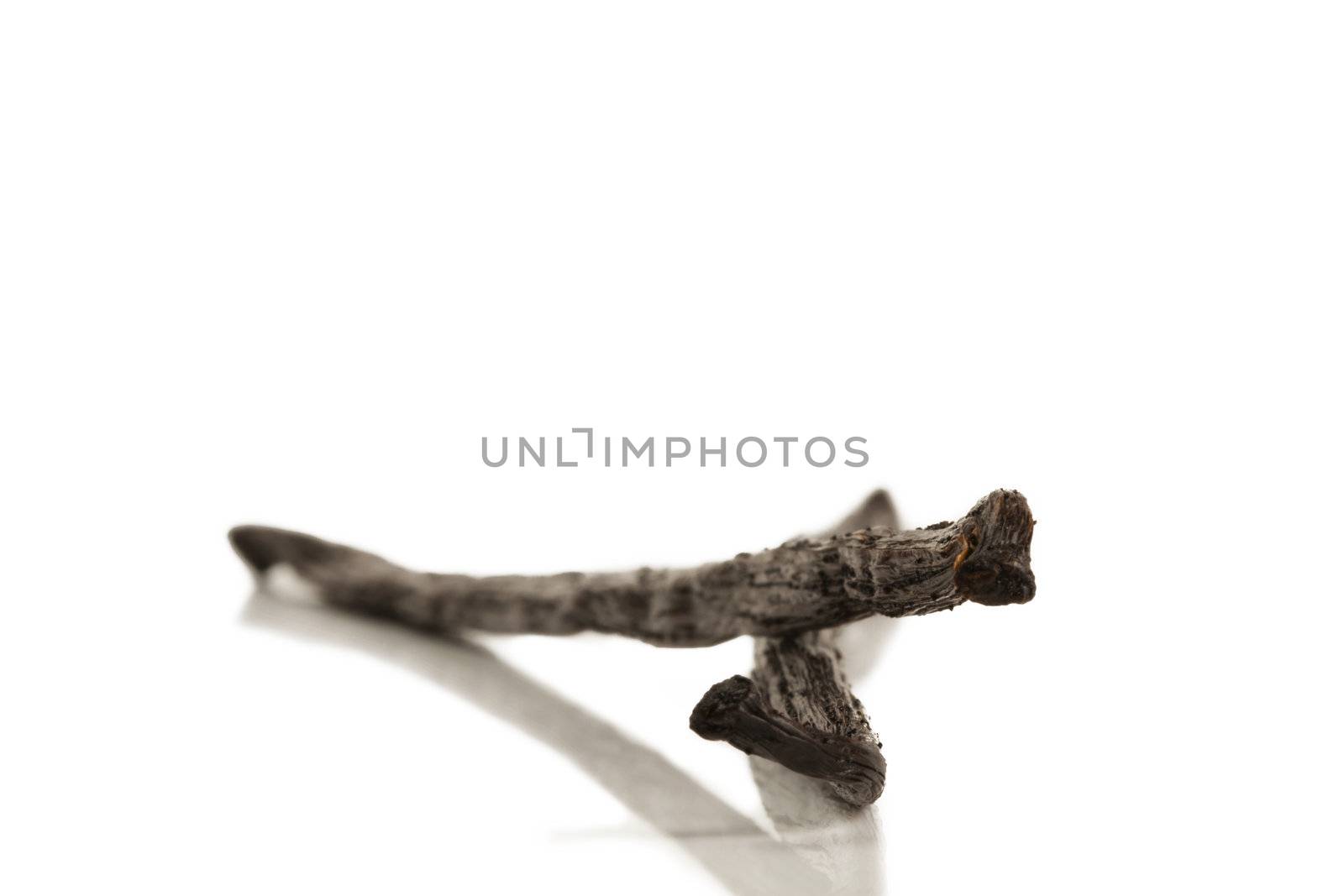 two vanilla beans with deep focus on white background