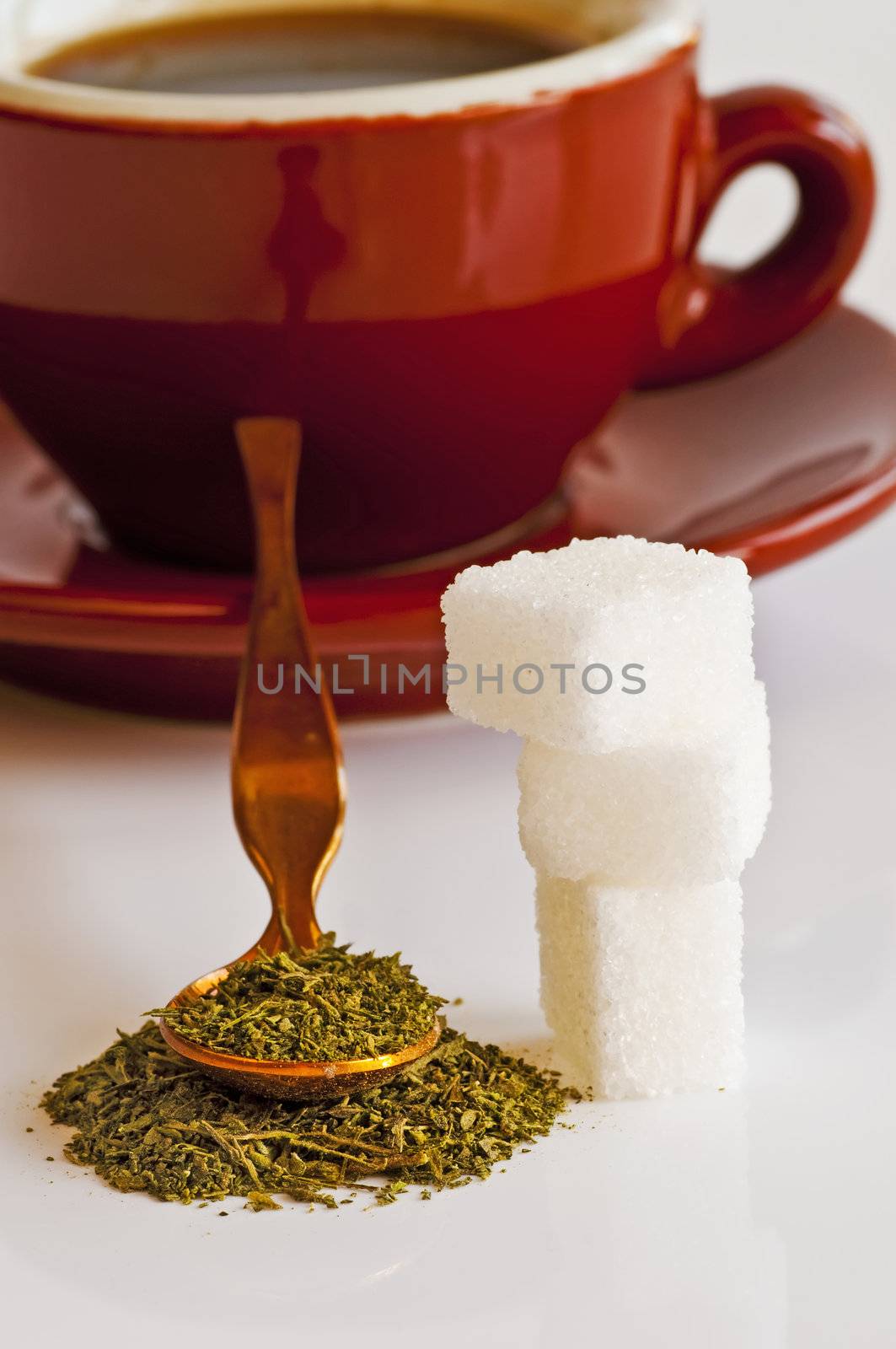 Stevia rebaudiana the herbal support for sugar