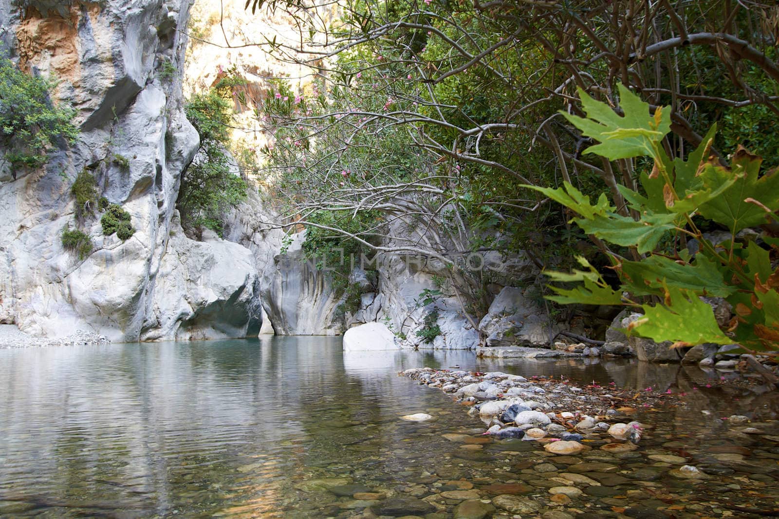 Mountains clear river in  green canyon. Chemuva, Turkey