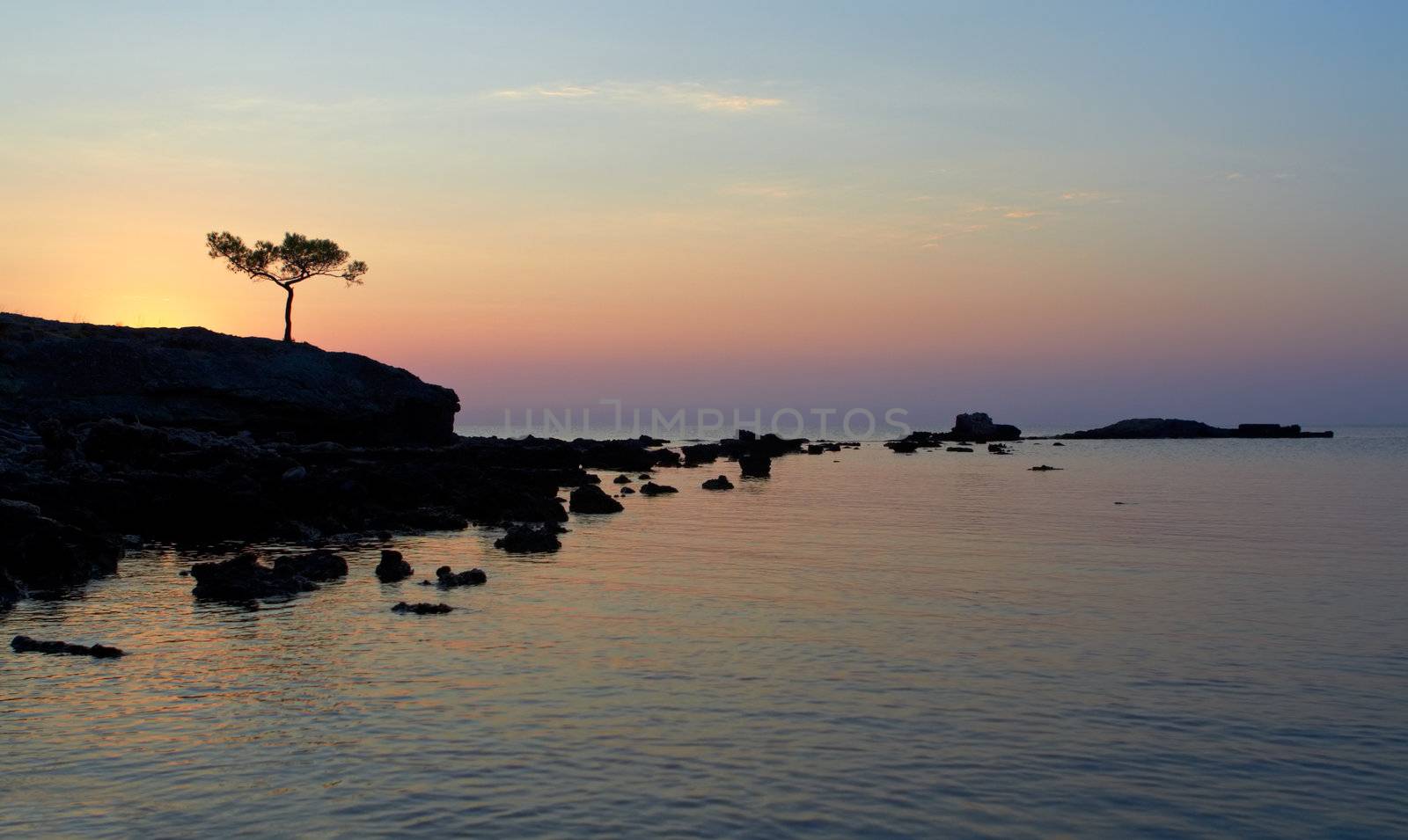 A beautiful Mediterranian sea sunrise with alone pine in the foreground.