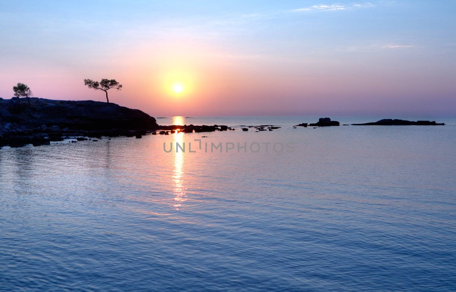 A beautiful Mediterranian sea sunrise with alone pine in the foreground.