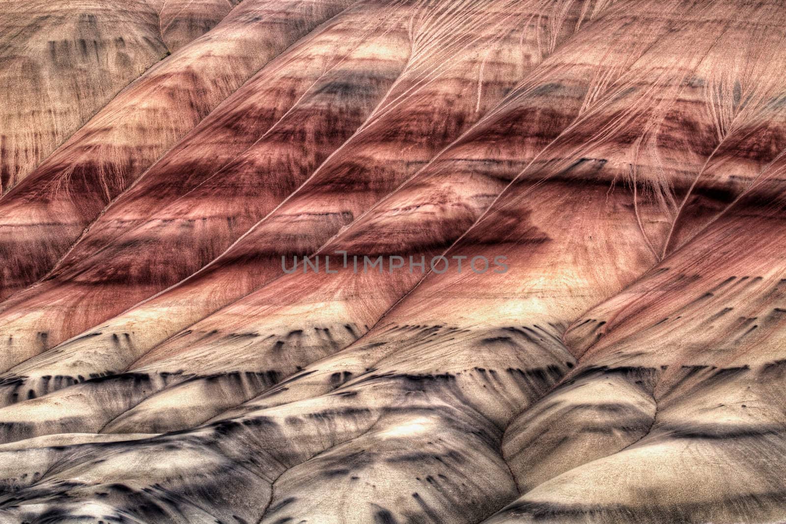 Painted Hills John Days Fossil Beds Oregon Closeup Abstract