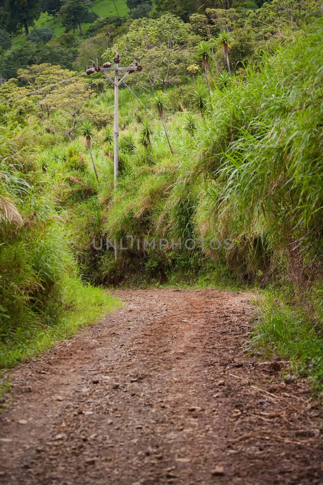 Rugged road near Monteverde and Santa Elena in Costa Rica