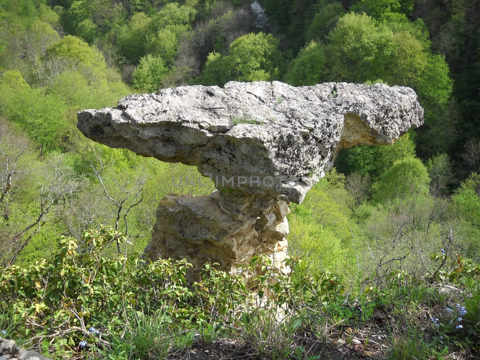 Greens; the Caucasian ridge; rocks; a relief; a landscape; a hill; a panorama; mountains; Caucasus; mountain; a slope