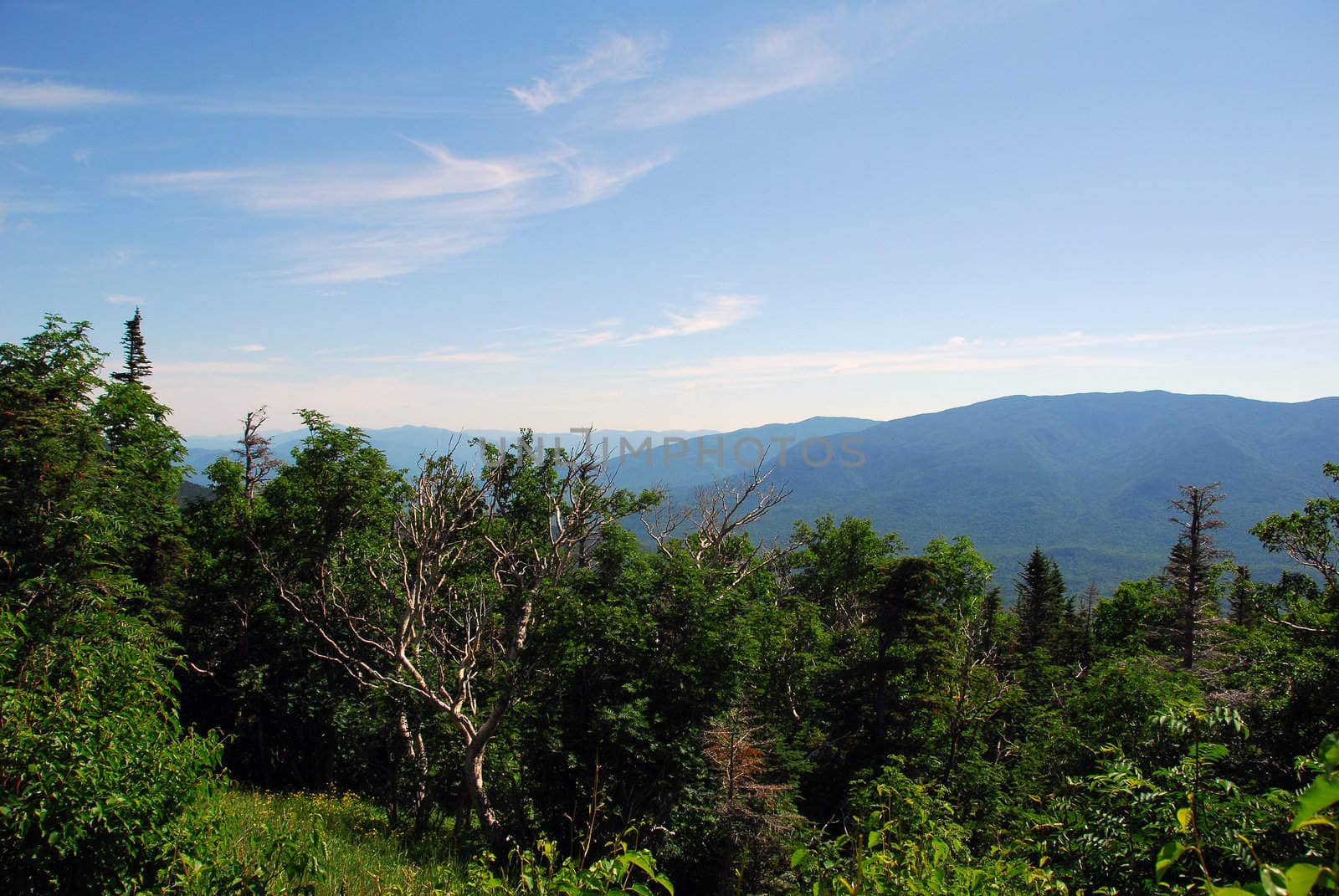 Picture of the White Mountains of New Hampshire in summer