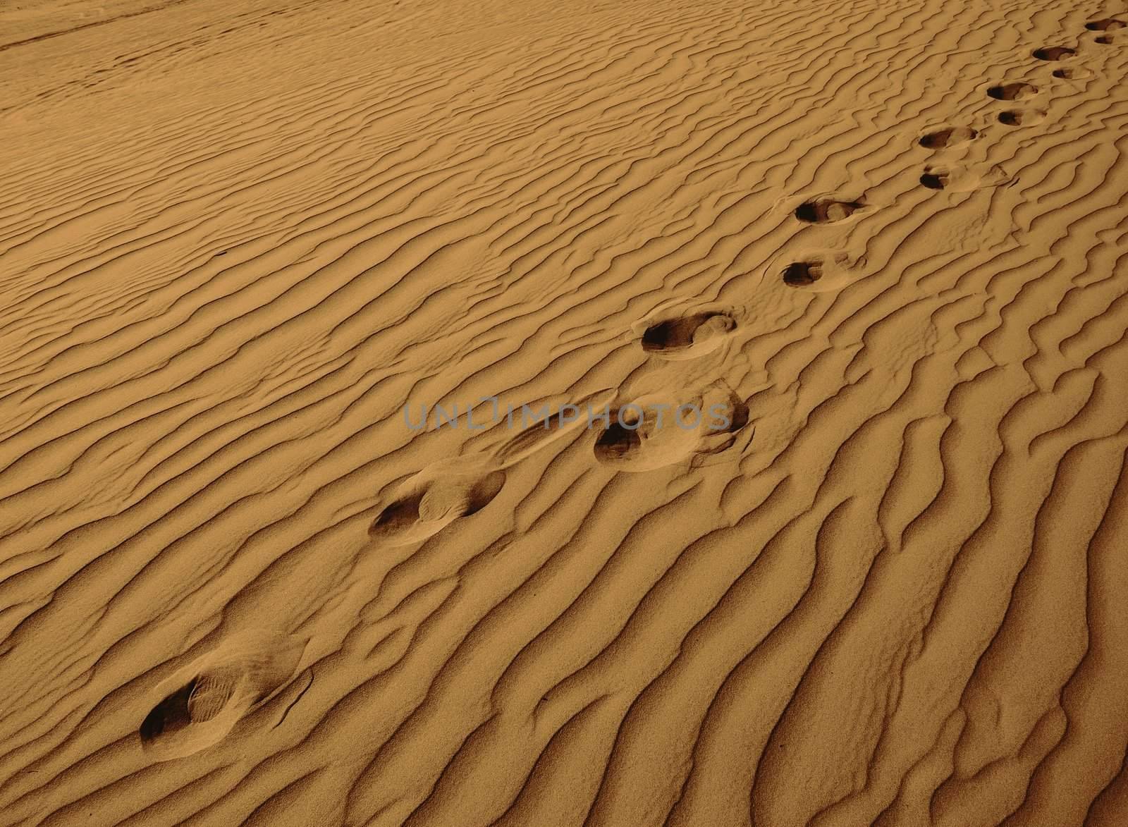Little Girl Wandering Alone in Sand Dunes