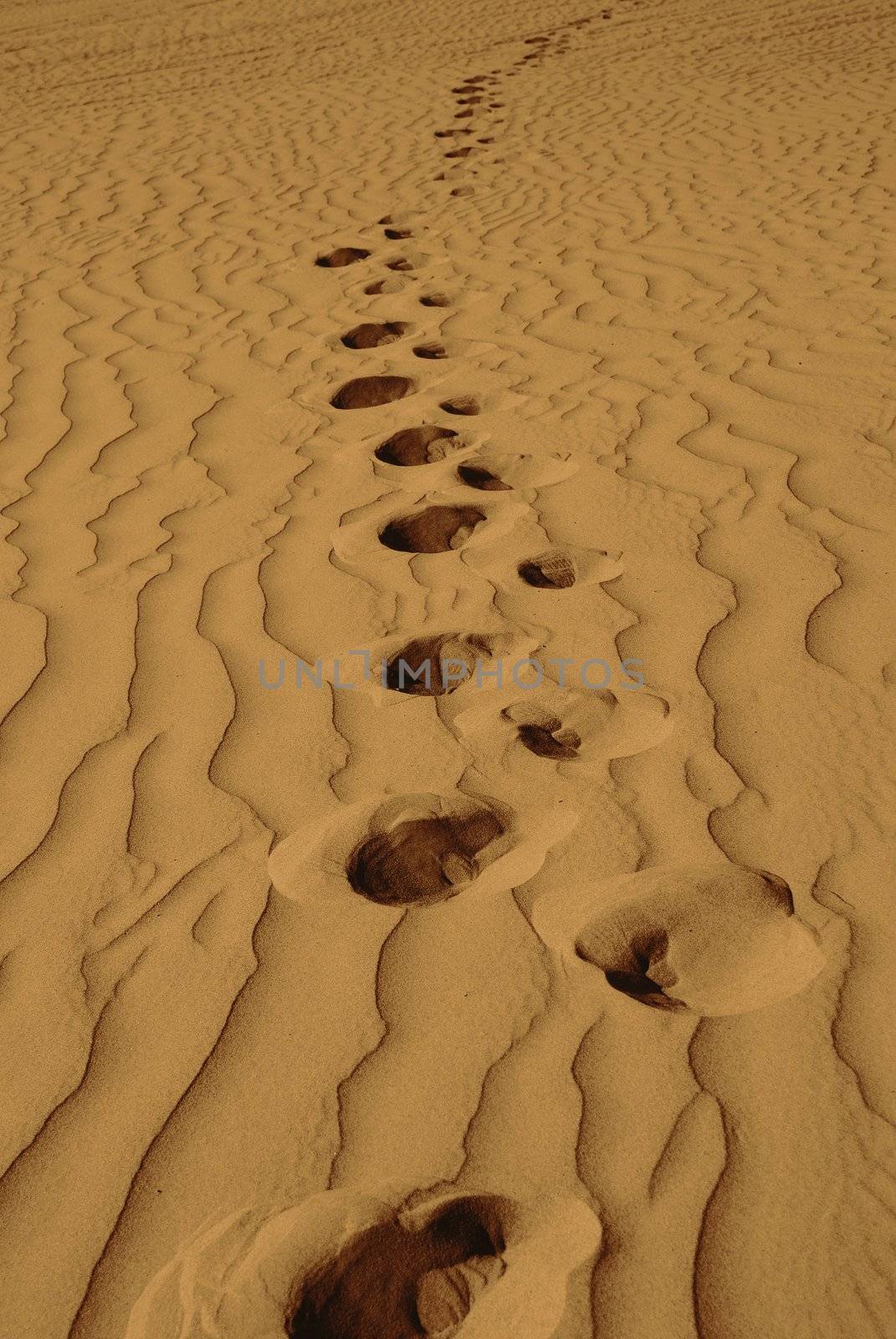 Veritcal Footprints in the Sand by pixelsnap