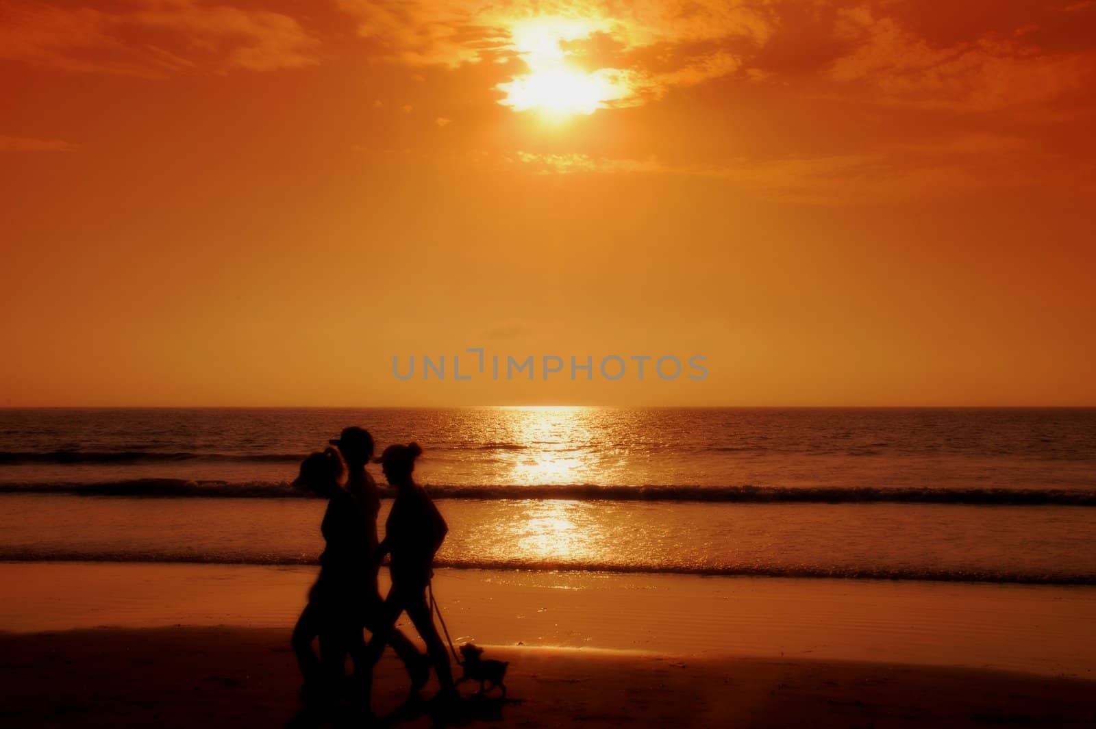 Women Walking Dog on Beach by pixelsnap