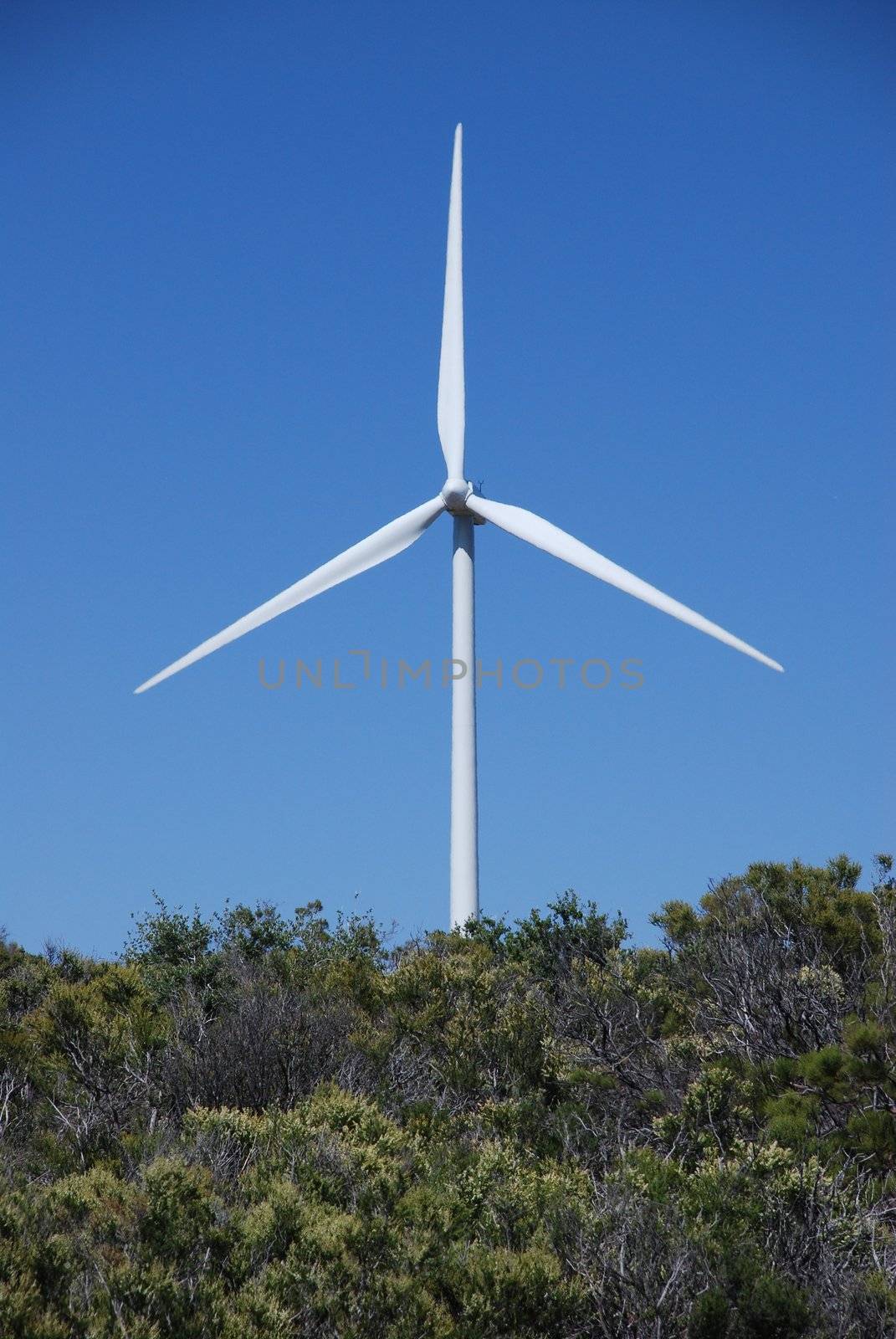 Wind Powered Electrical Generating Station near Palm Desert California