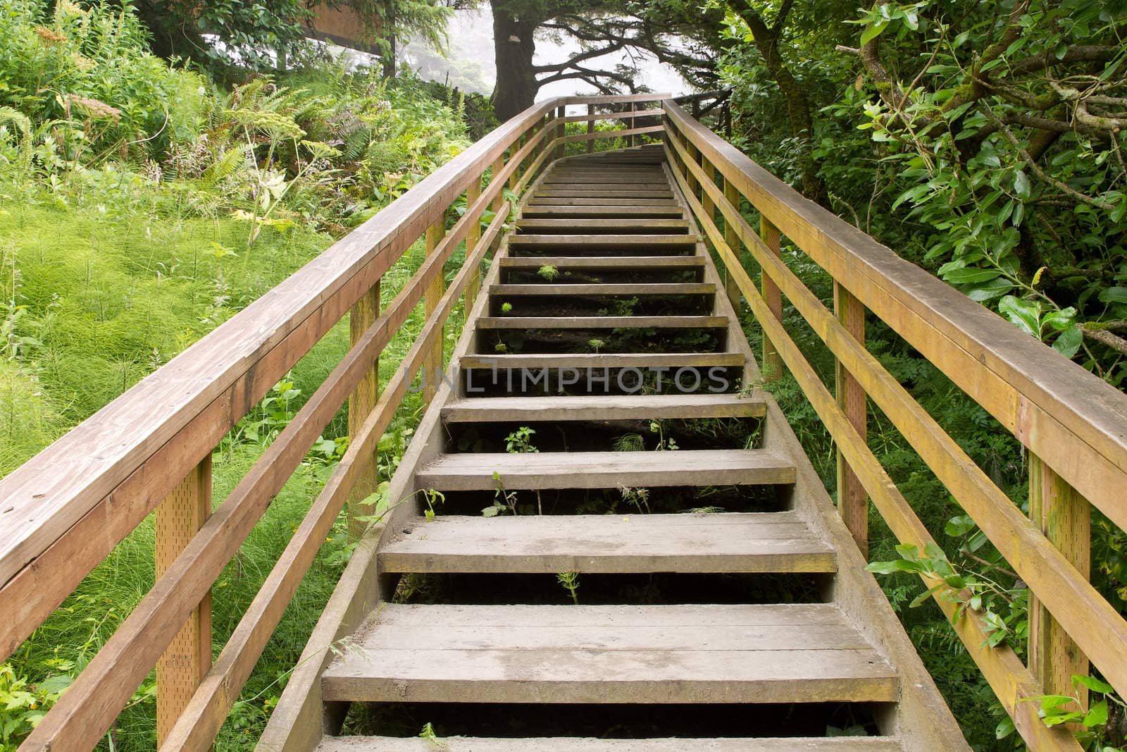 Wooden Stairs at Hiking Trail to the Beach